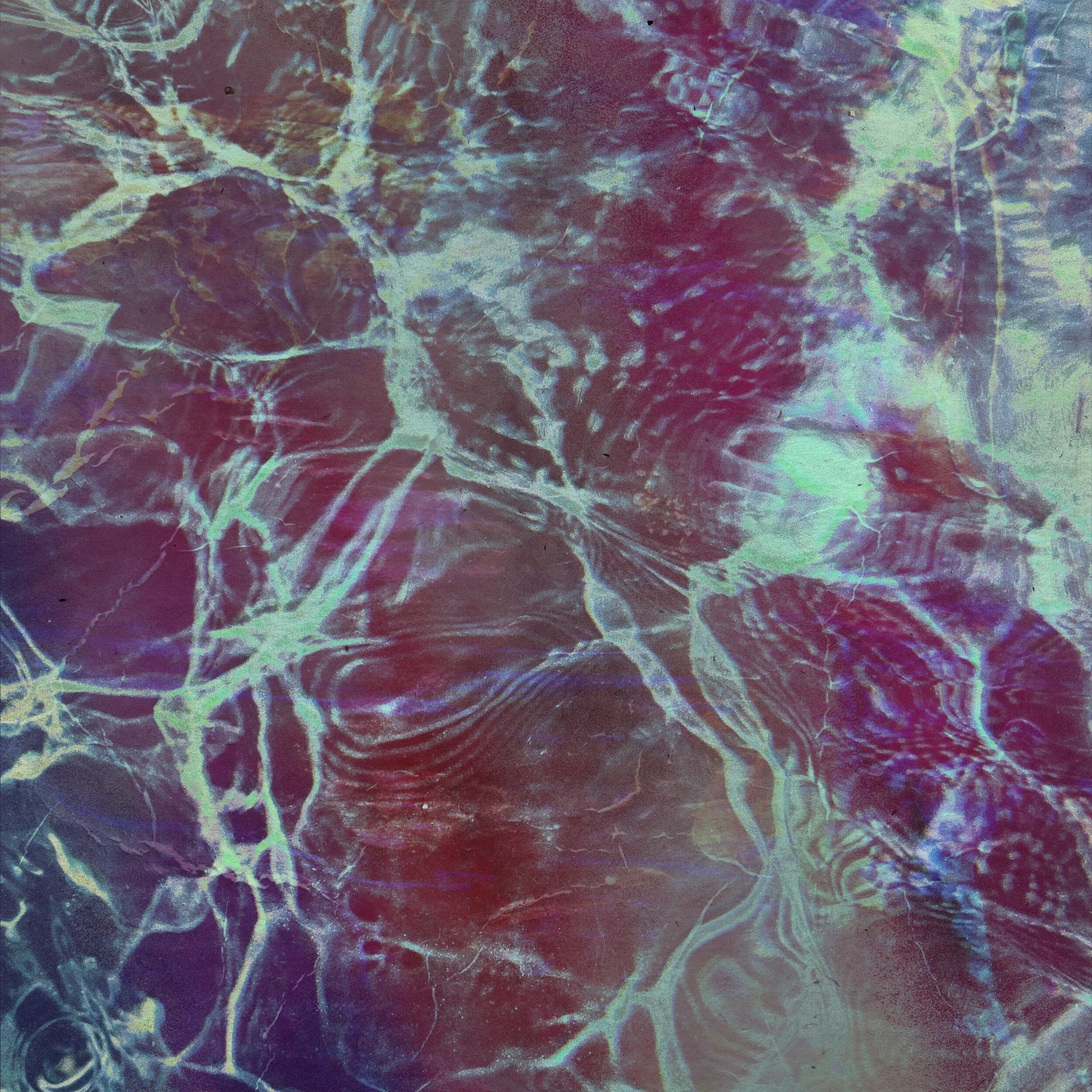 Random Design_December 9_02_VR01-web.jpg