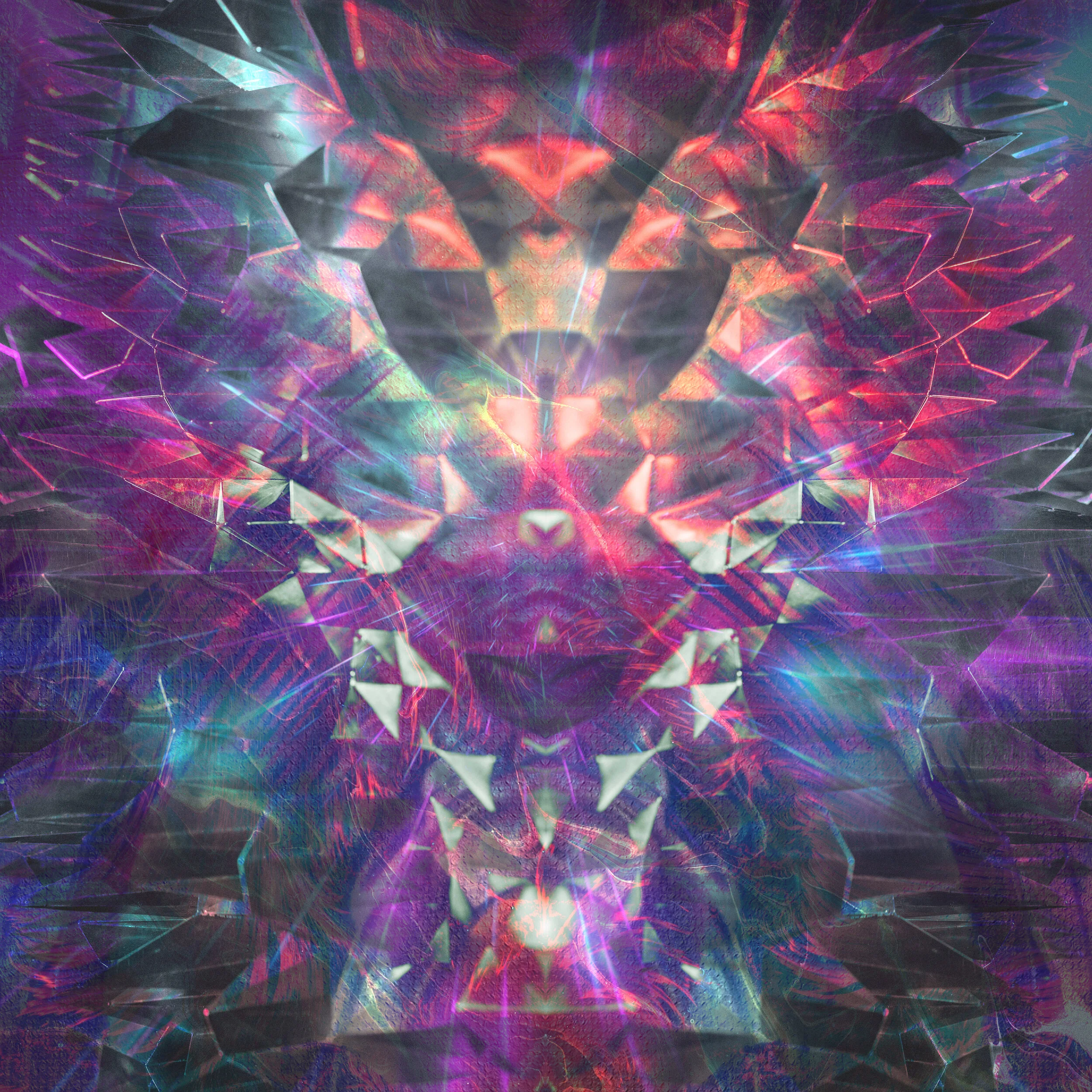 Random Design_December 10_01_VR01-web.jpg
