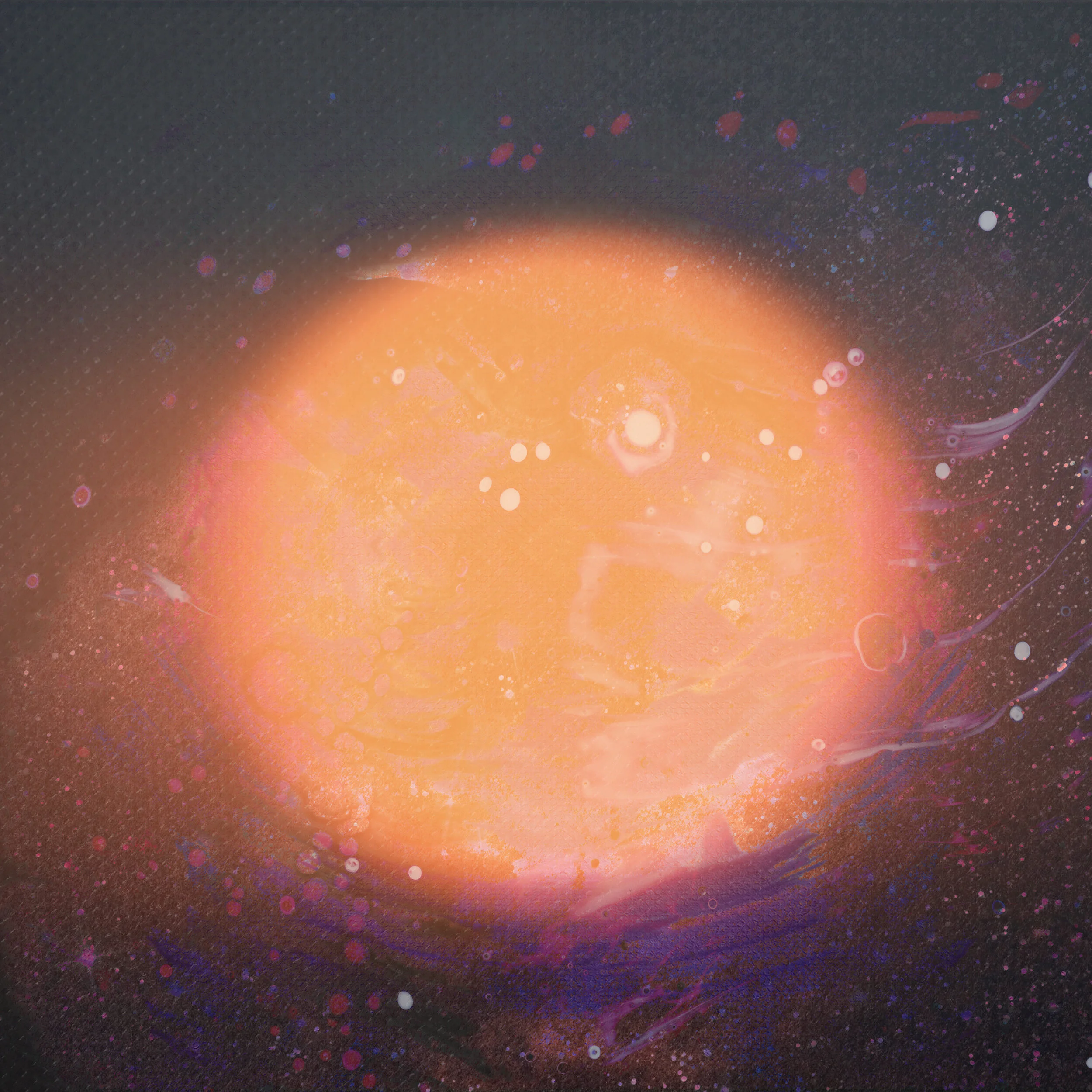 Random Design_December 12_13_VR01.jpg