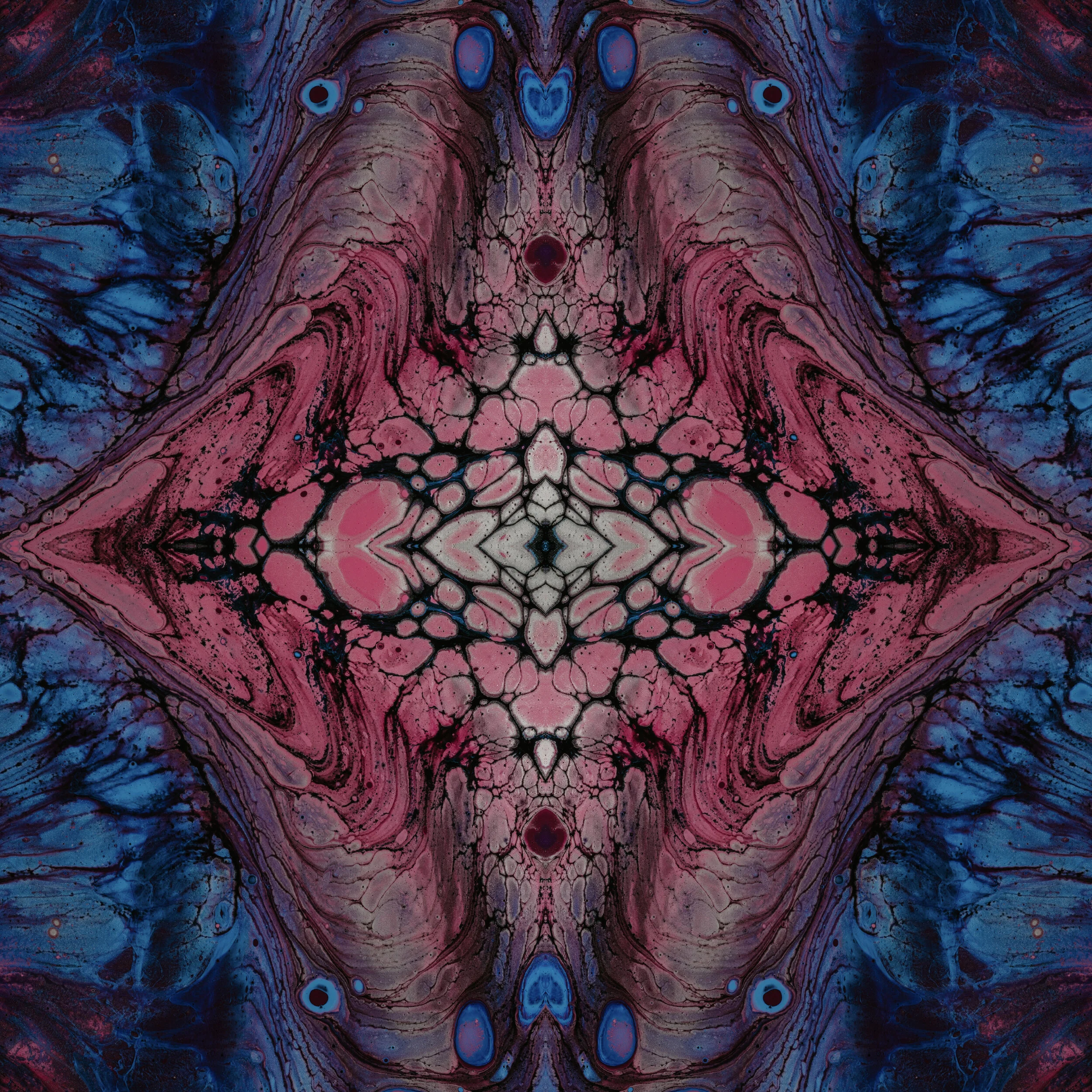 Random Design_January 11_01-web.jpg