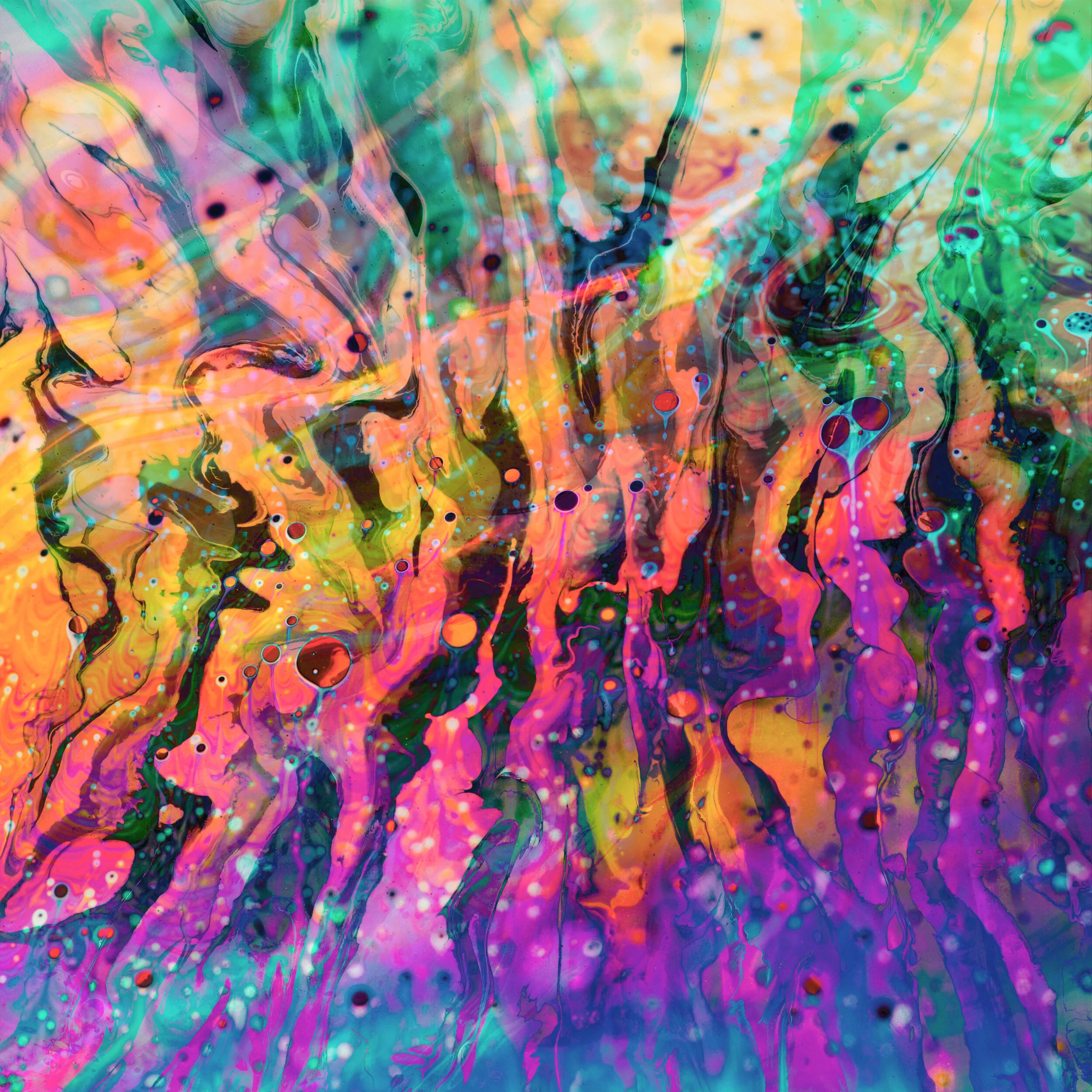 Random Design_September 3_02_VR01_sRGB-web.jpg