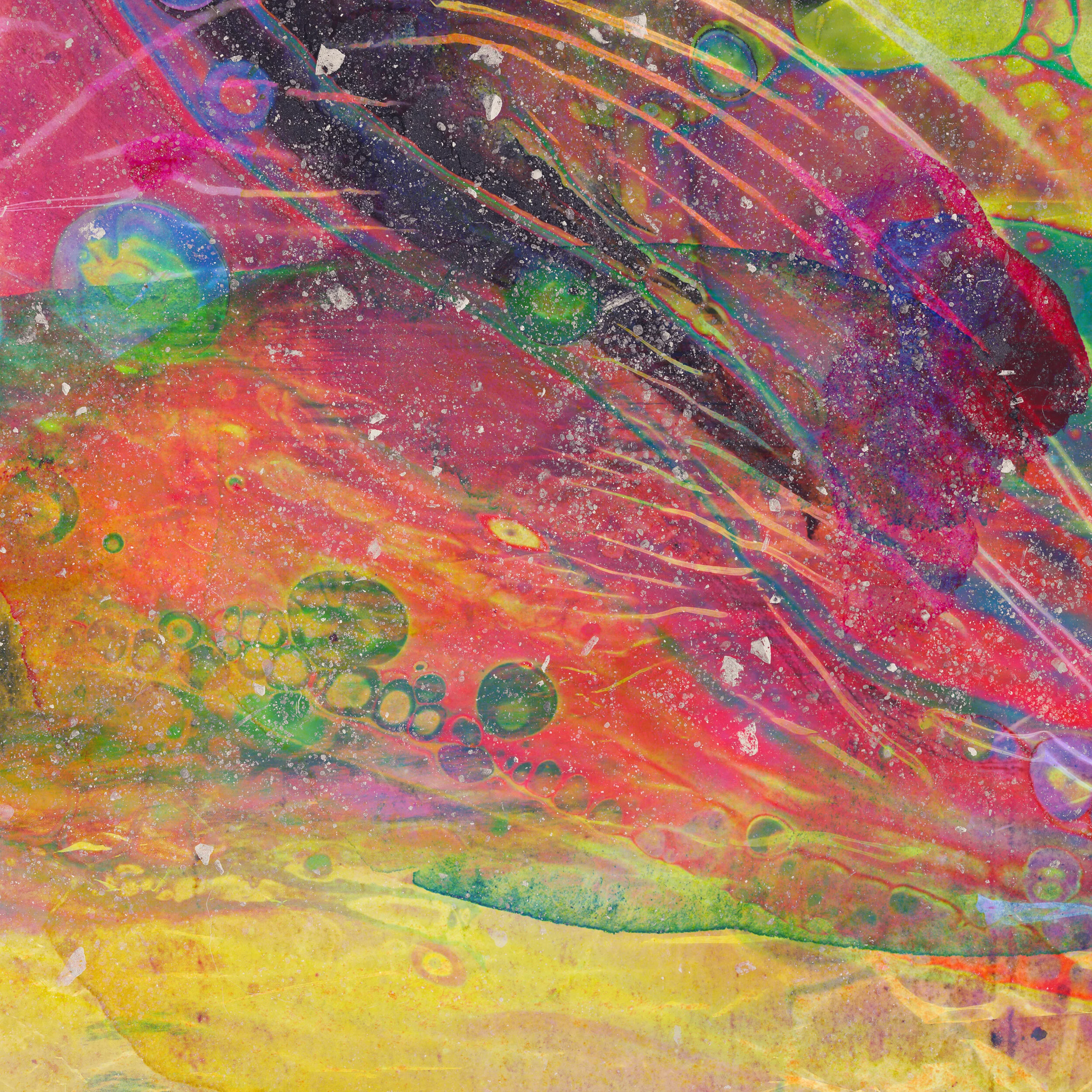 Random Design_September 6_02_VR01_sRGB-web.jpg