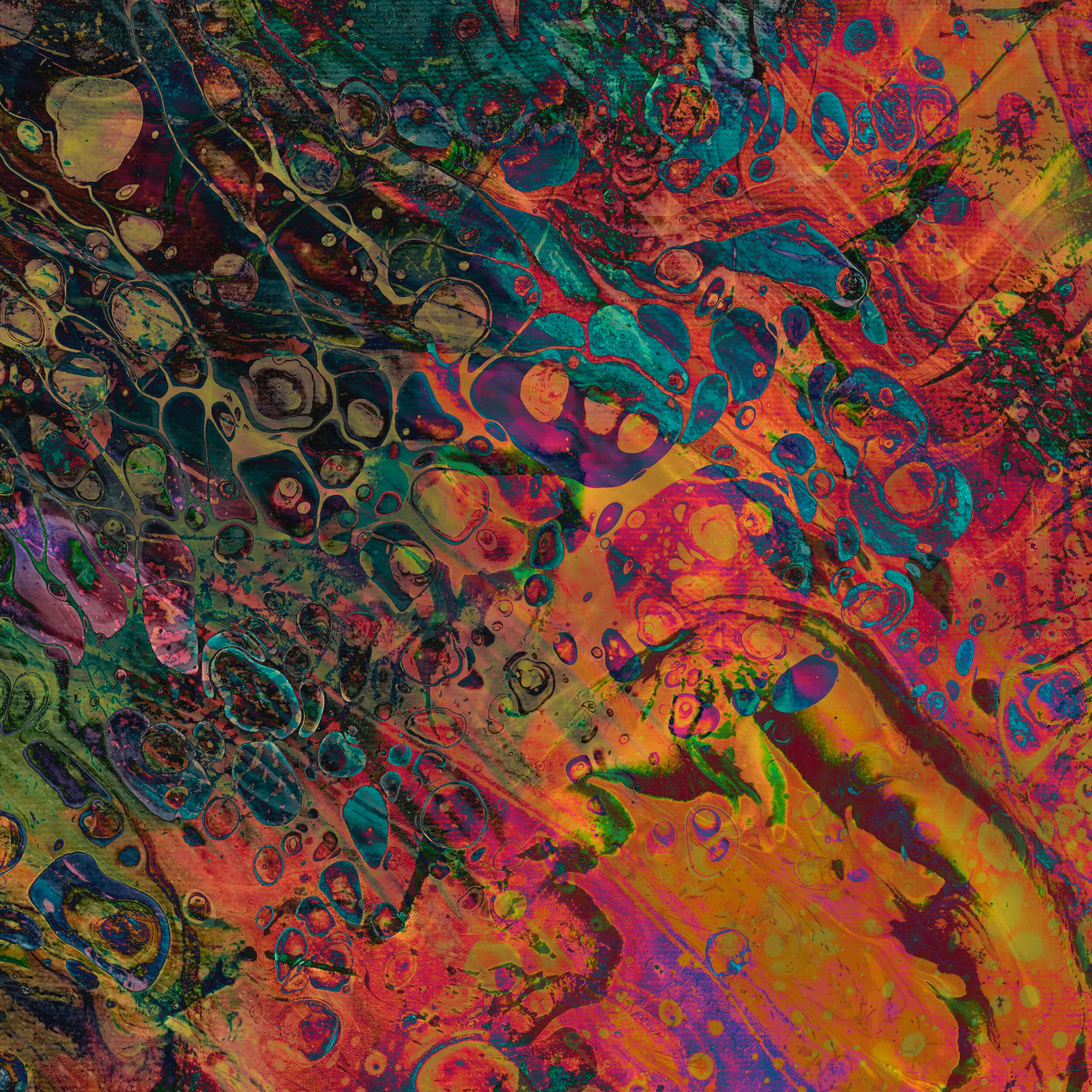 Random Design_September 18_01_VR02_sRGB-web.jpg