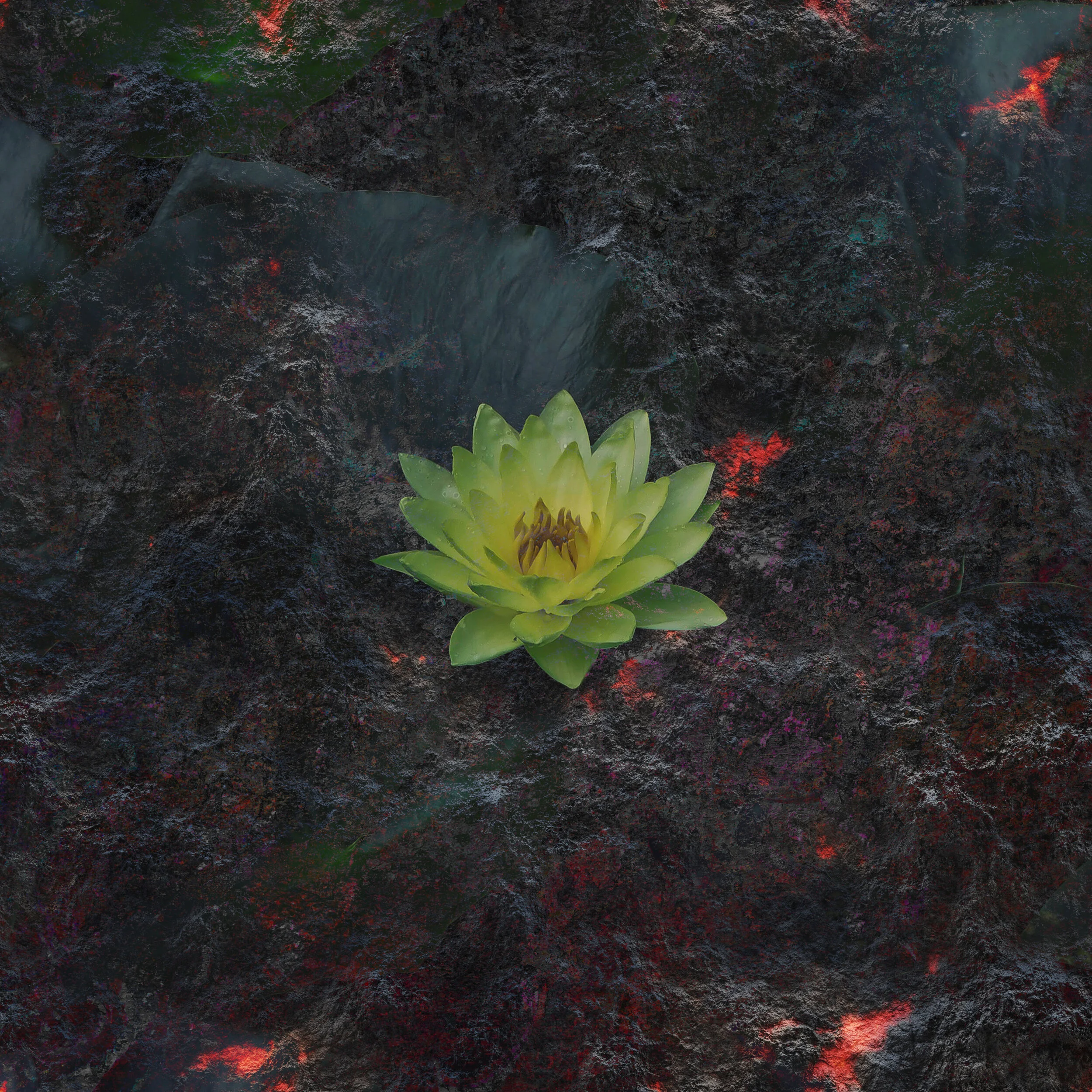 Random Design_October 1 2020_01_VR01_sRGB-web.jpg