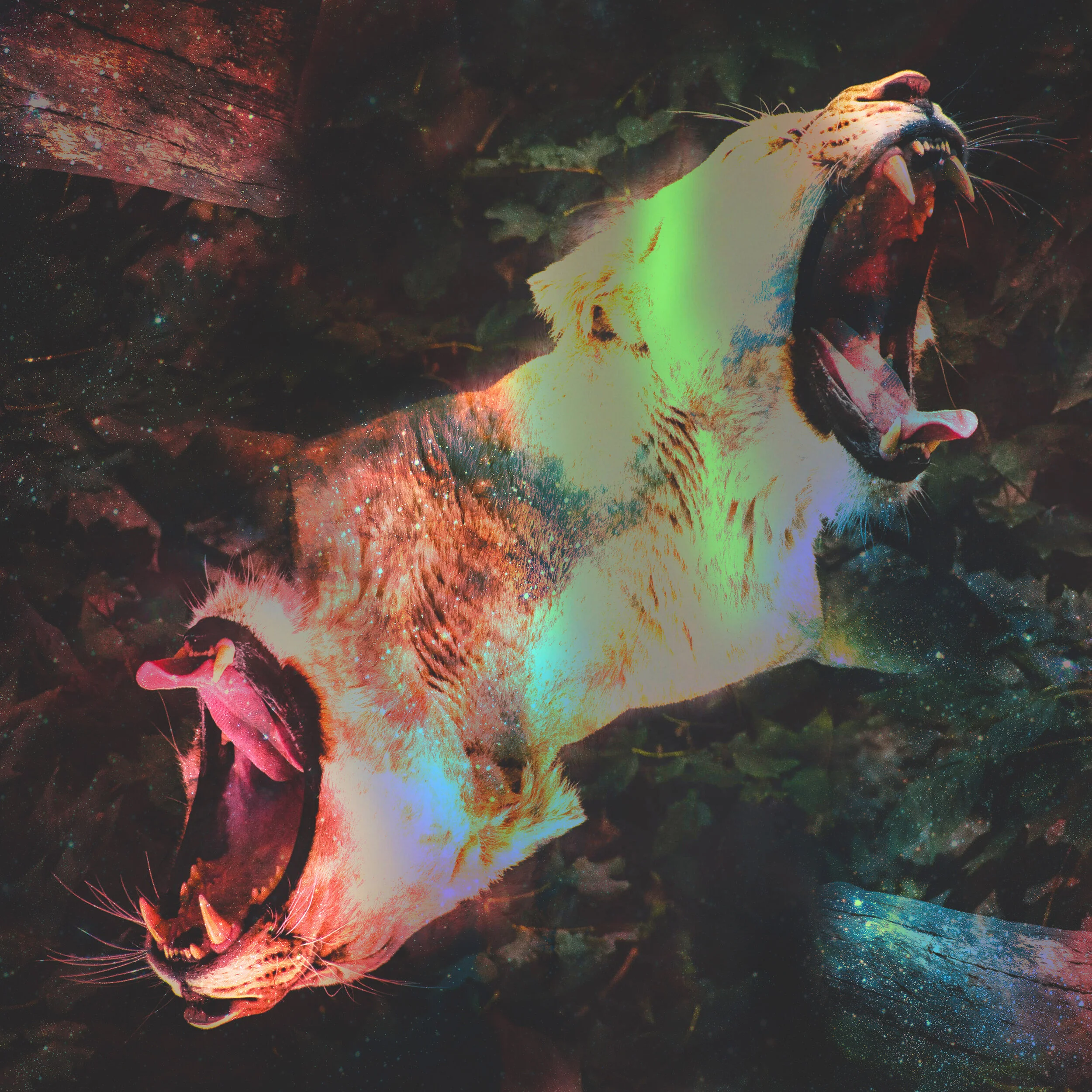 Random Design_October 30_04_VR01_sRGB-web.jpg