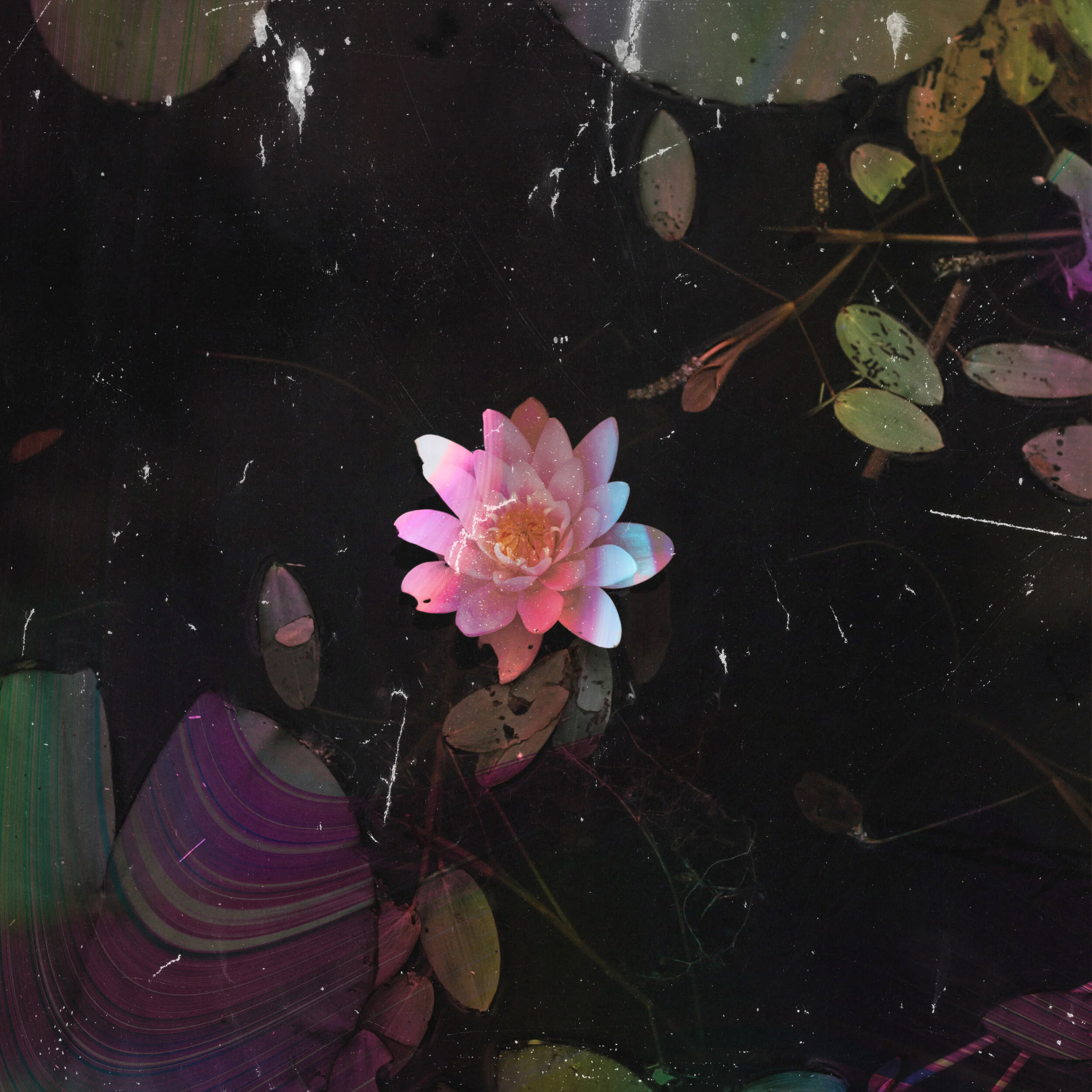 Random Design_October 30 2020_04_VR01_sRGB-web.jpg