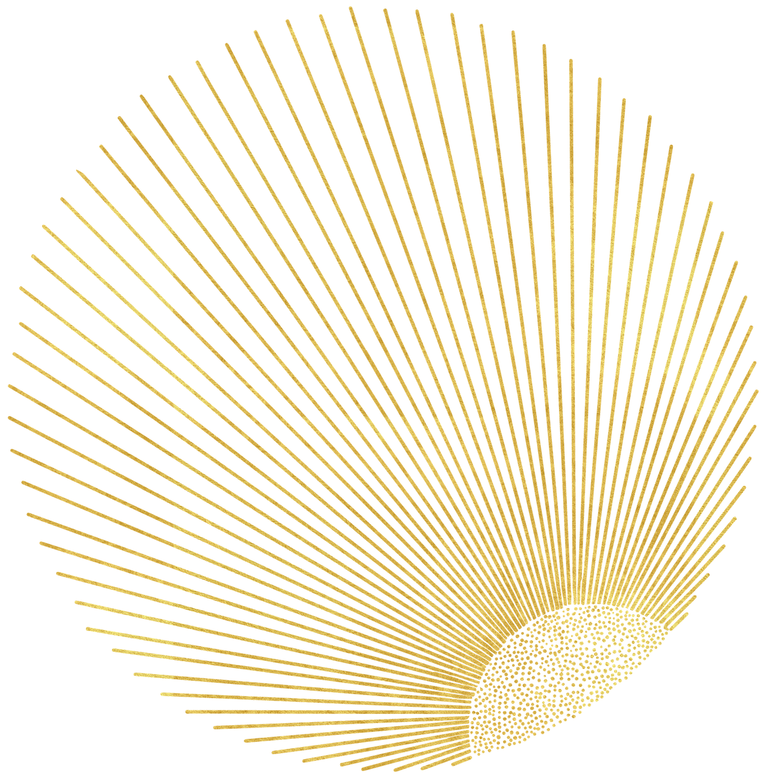 EWE Pattern New-08.png