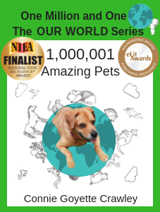 Copy of National Indie Excellence Finalist!