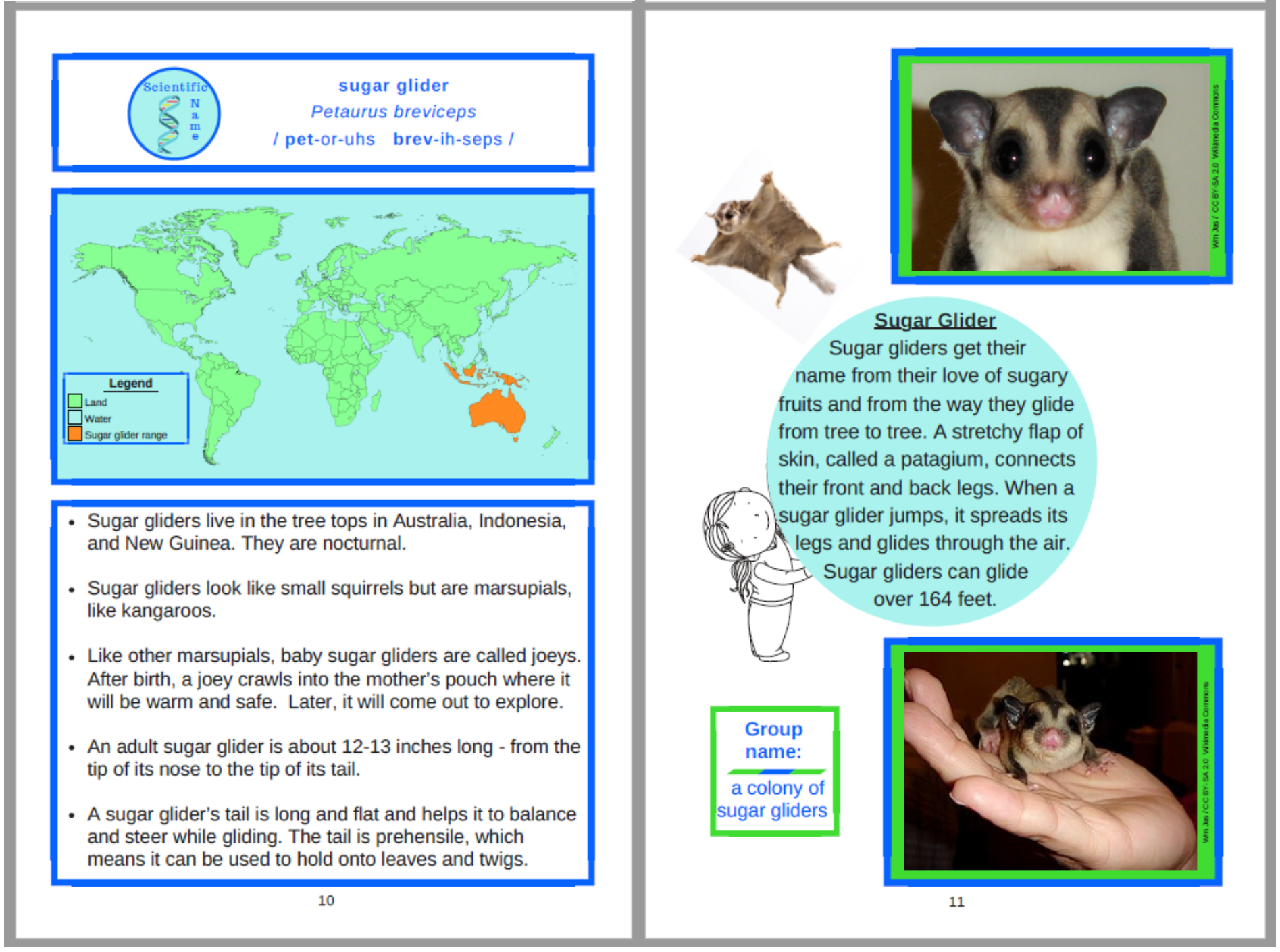 2 pages from pet book.png