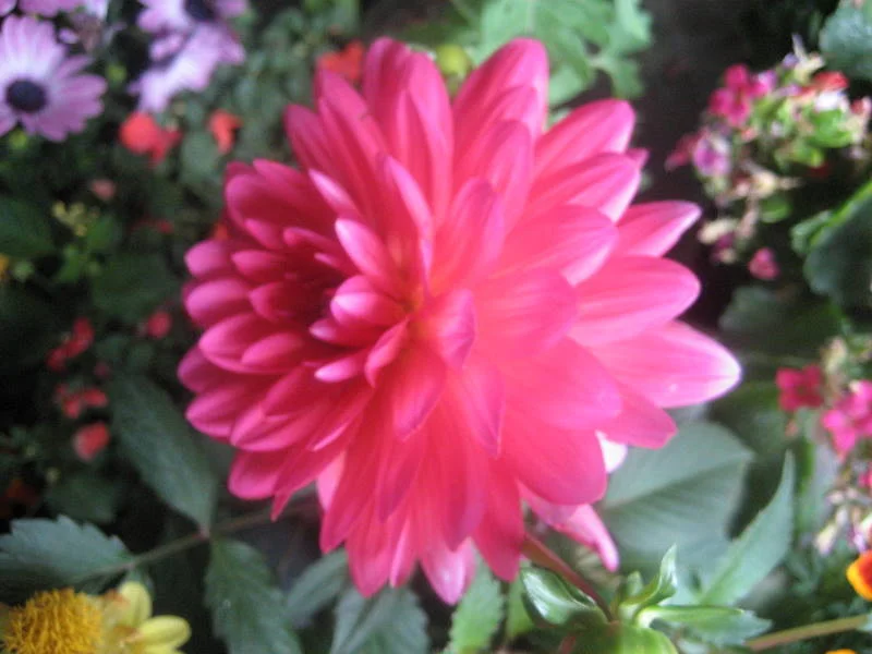 2007-05-18 23.13.46.jpg