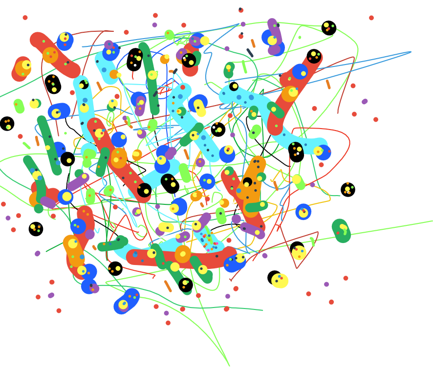 ORGANIZED CHAOS.png