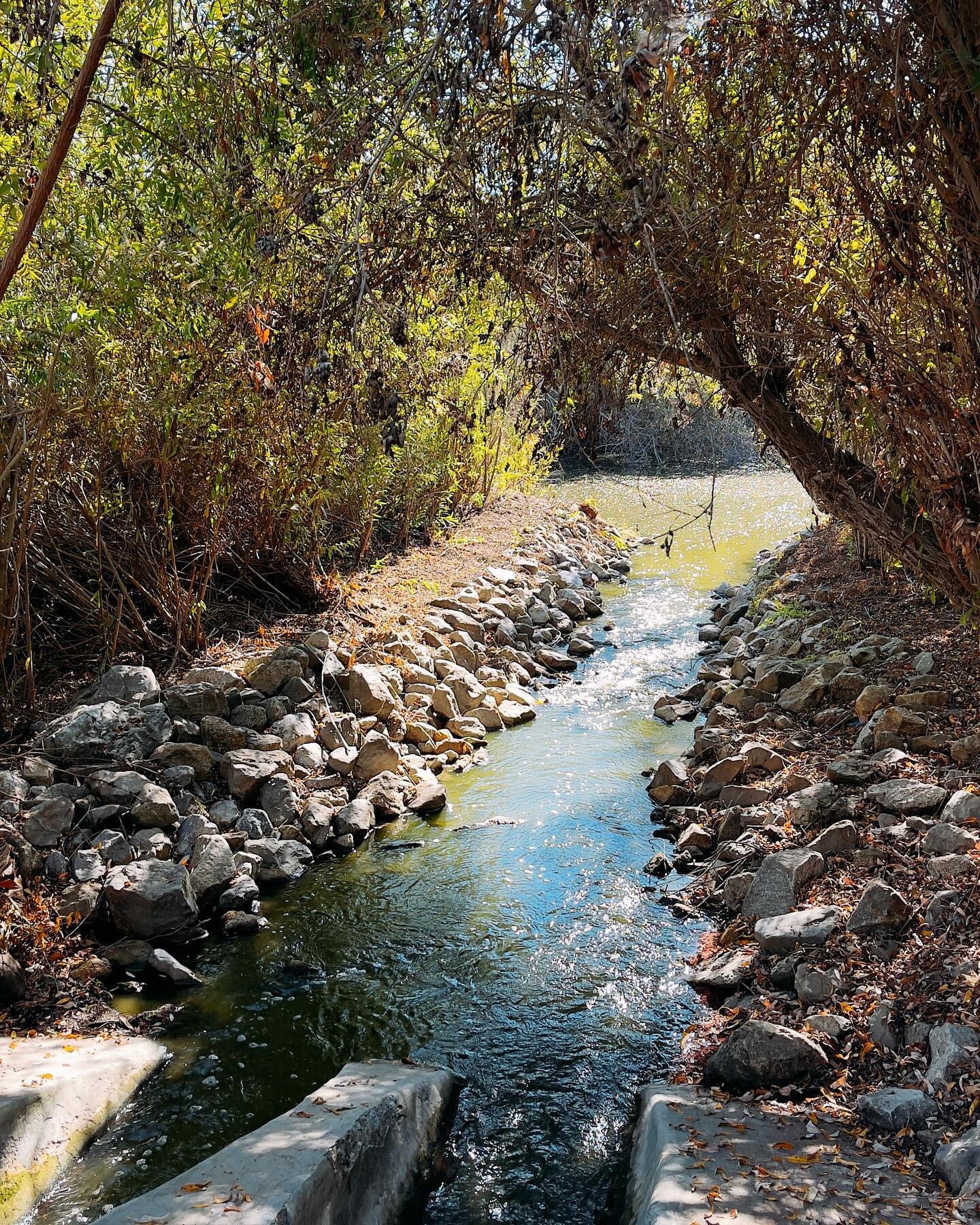 Afternoon walk to stretch my legs and stay grounded in God&rsquo;s creation.