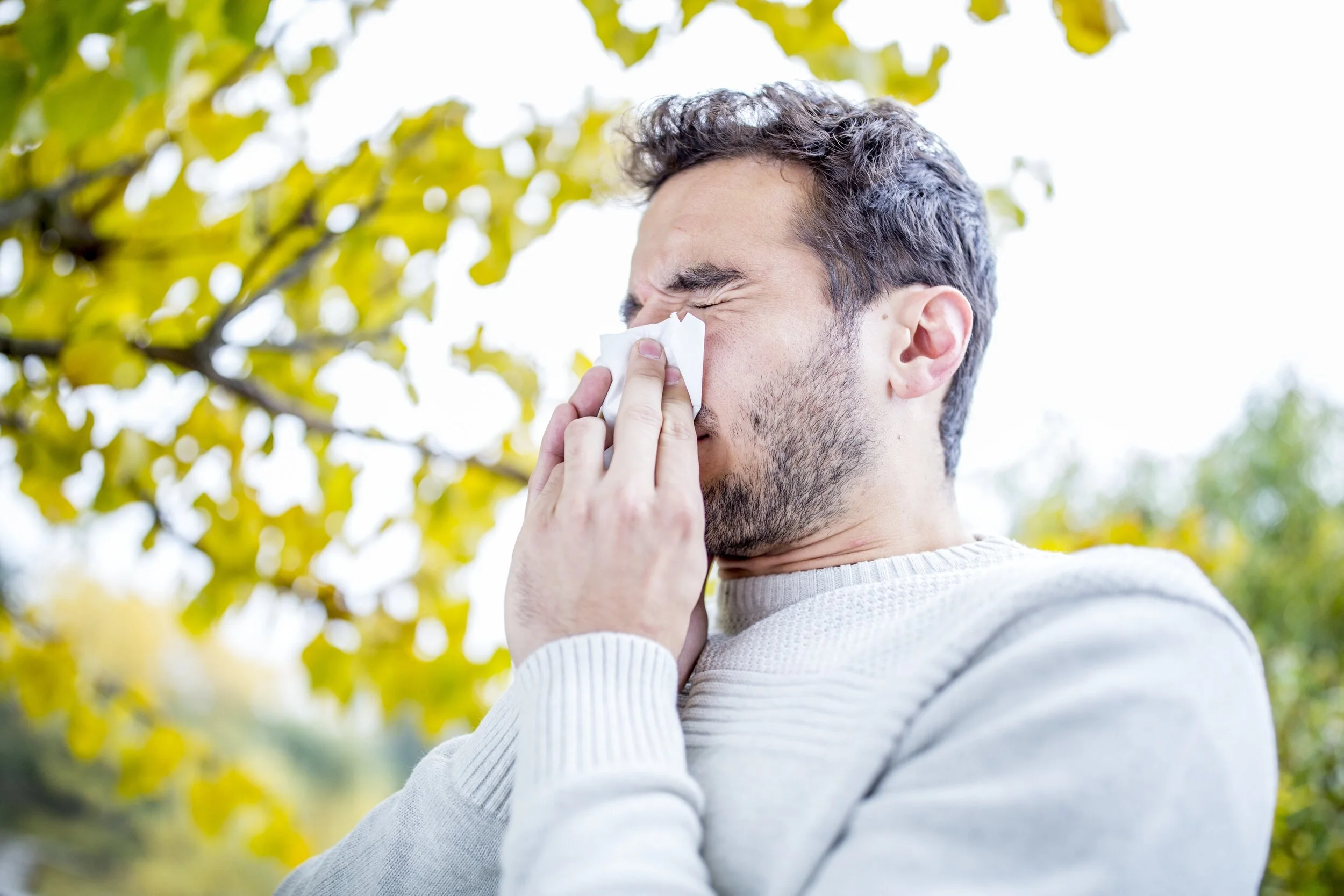 How to Beat Seasonal Allergies without Spending a Fortune