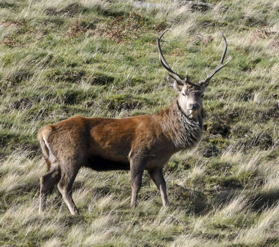 DSC_4005.jpg