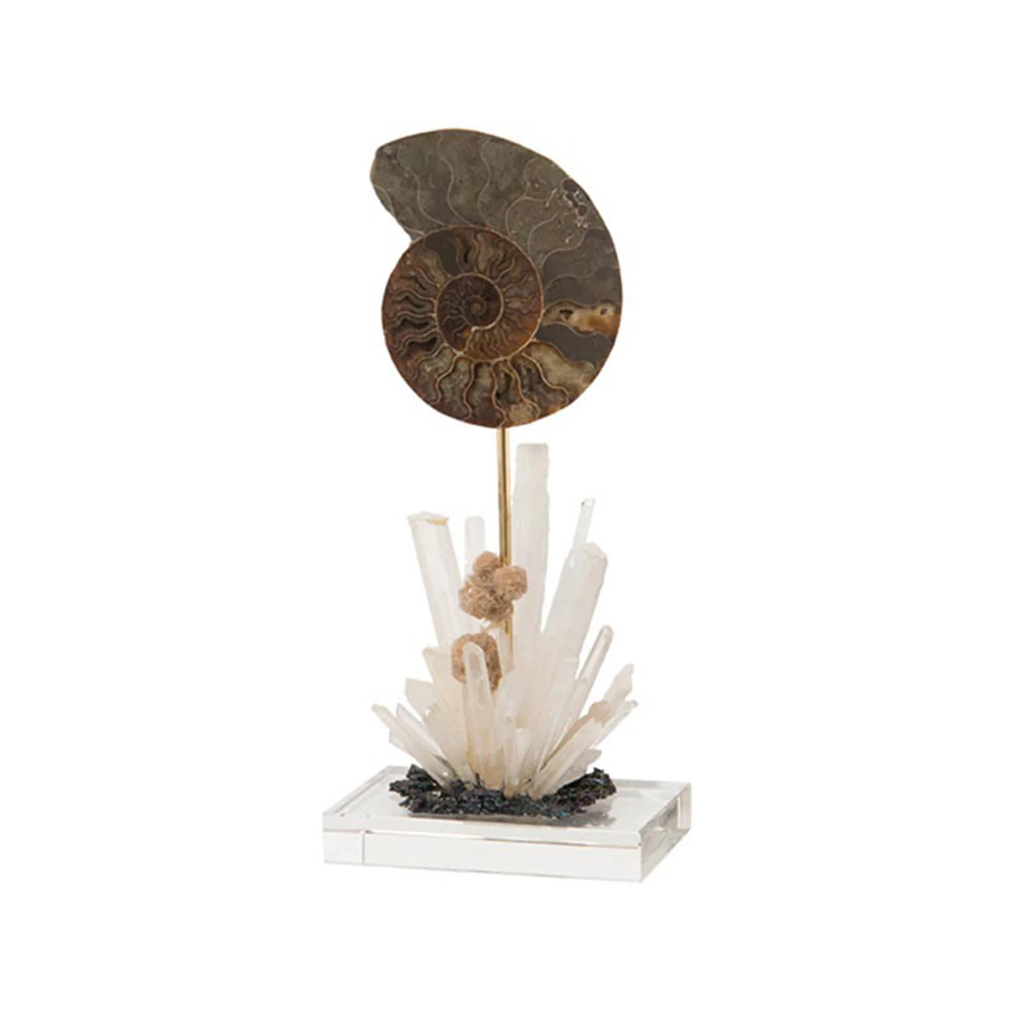 fossil flower luxury home décor