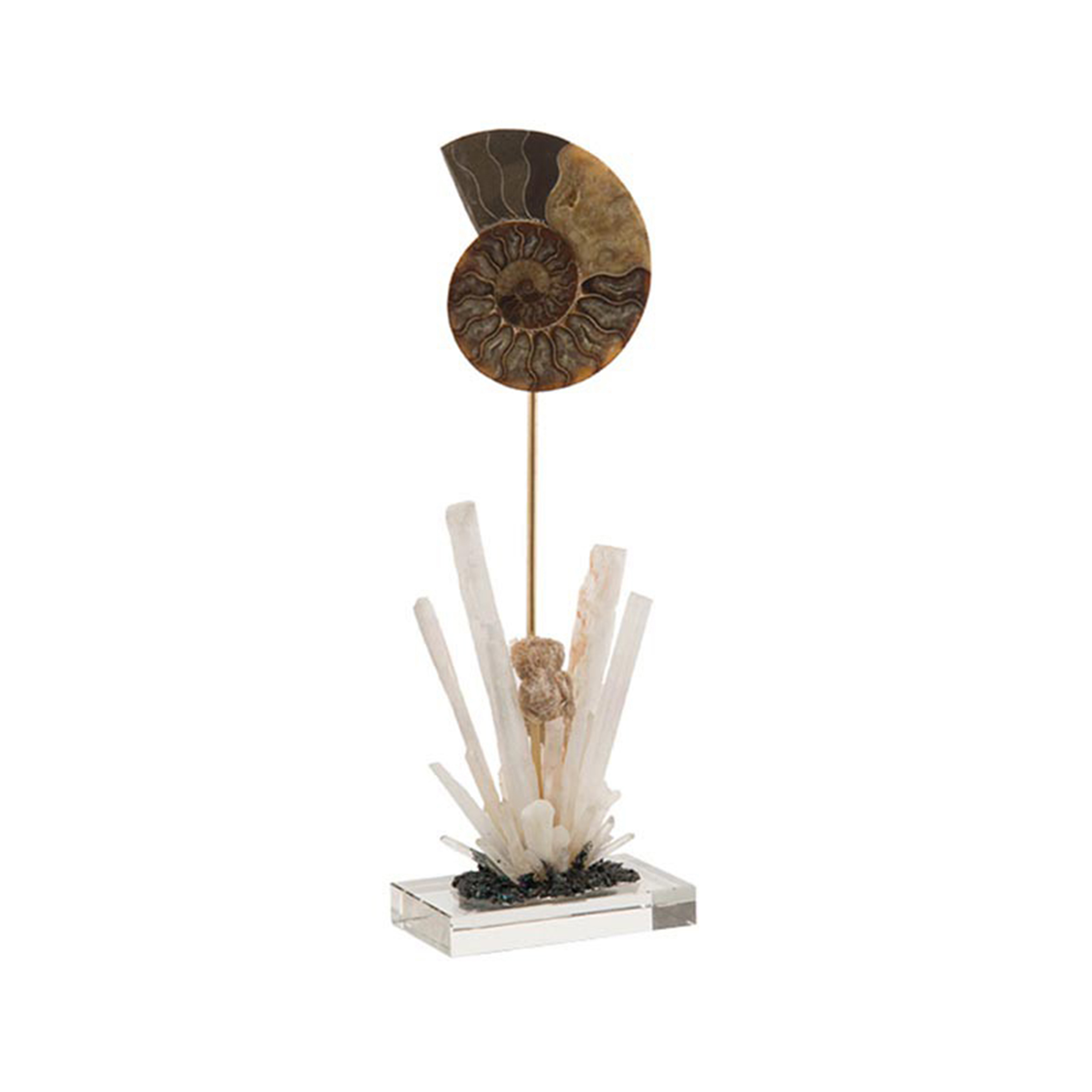 fossil flower luxury home décor longer stand