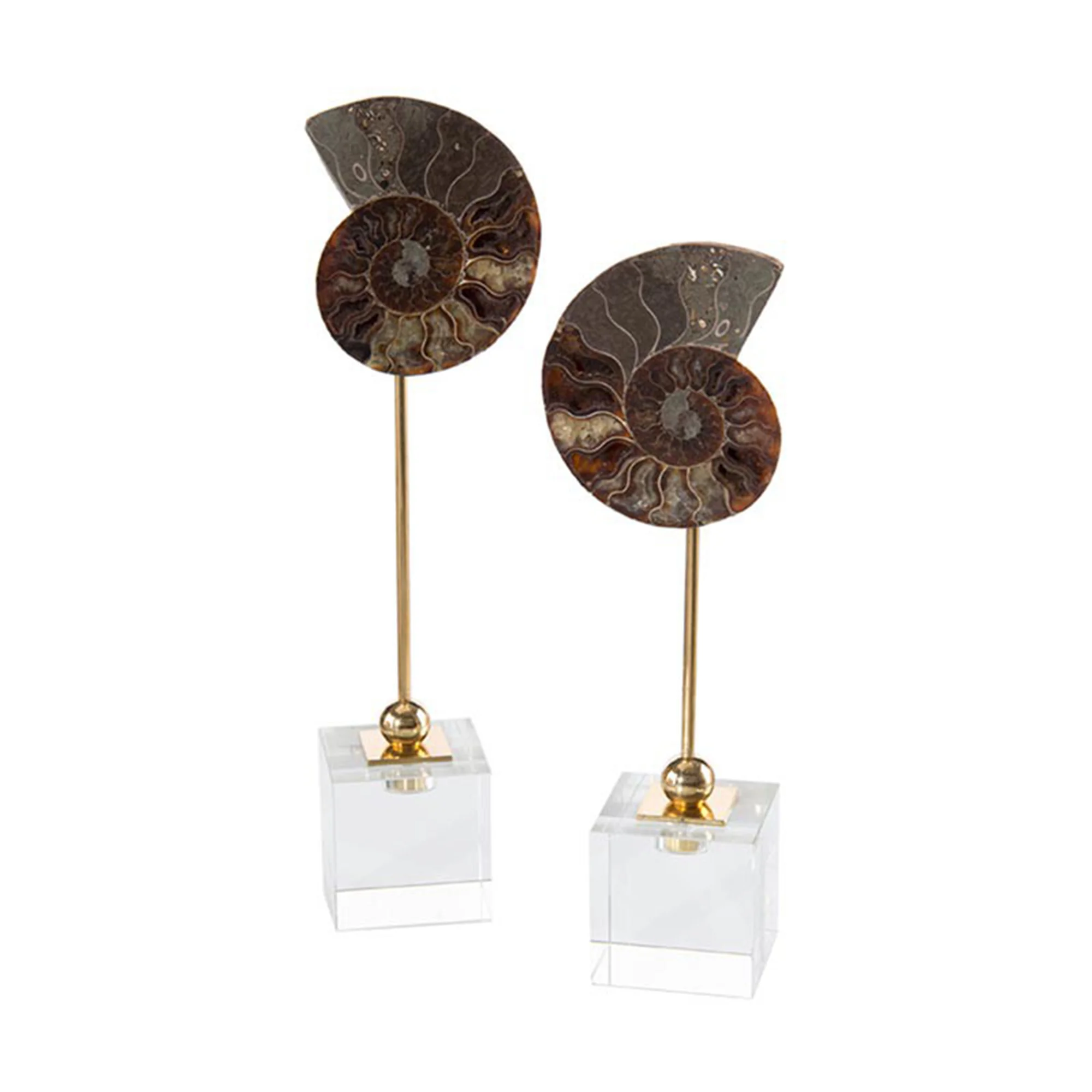 fossil flower duo luxury home décor