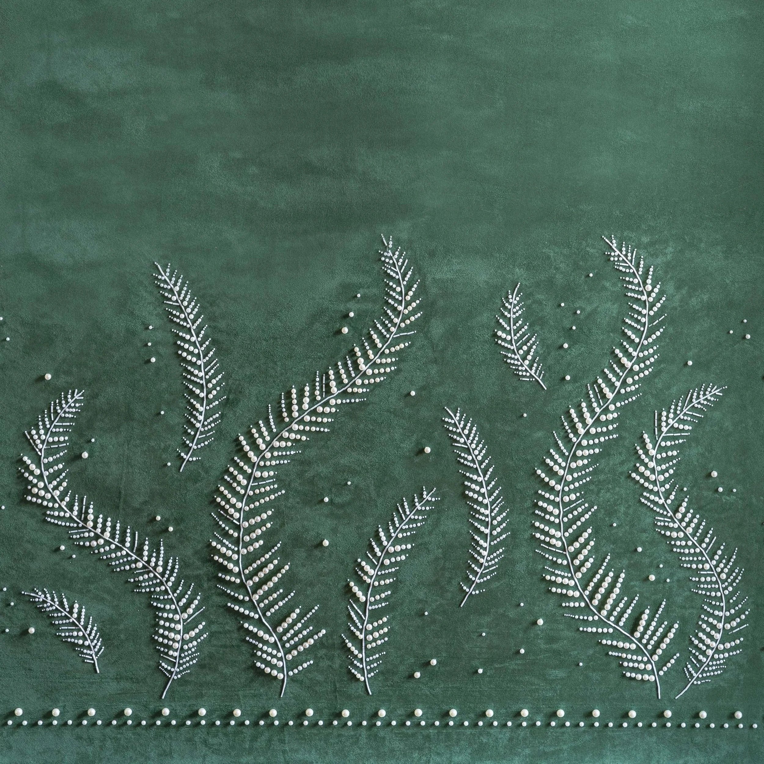 Curio Ferns