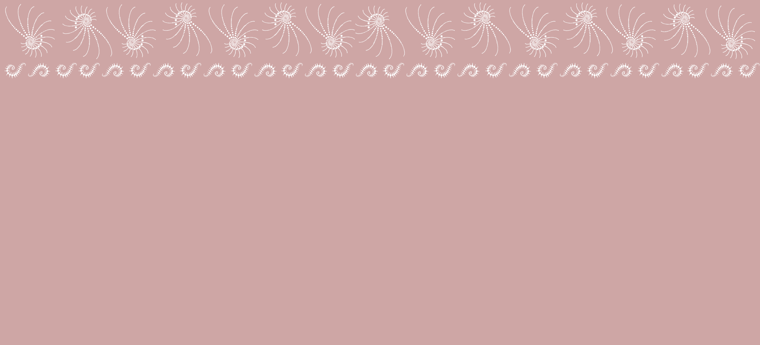 WP-NAUTILUS-3.png