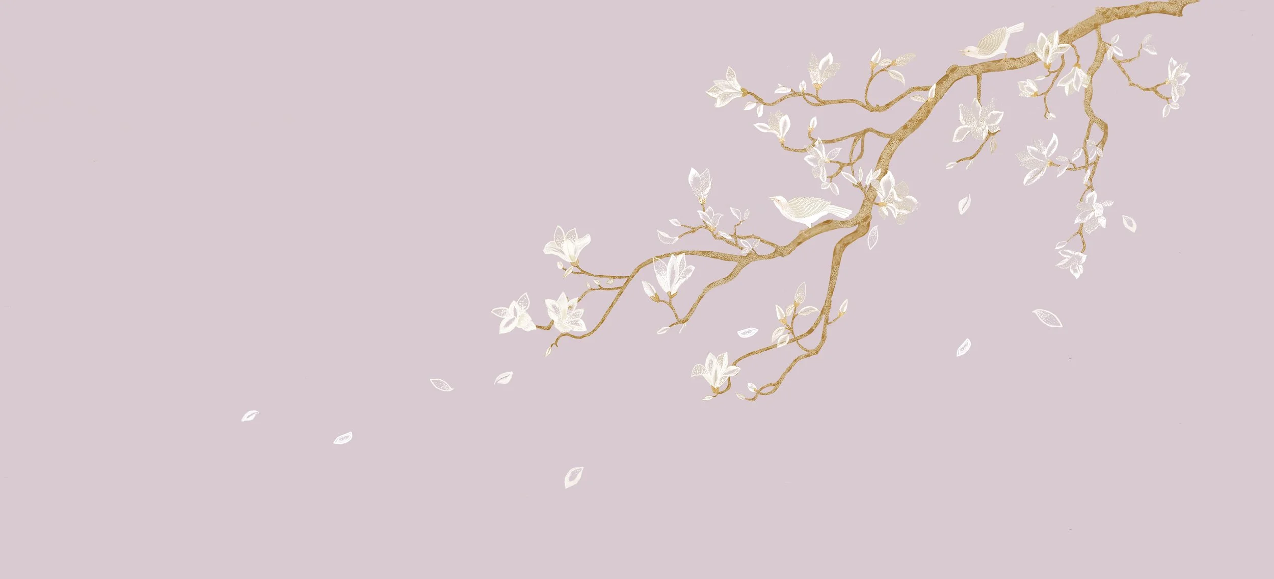 EM-MAGNOLIA-1.jpg