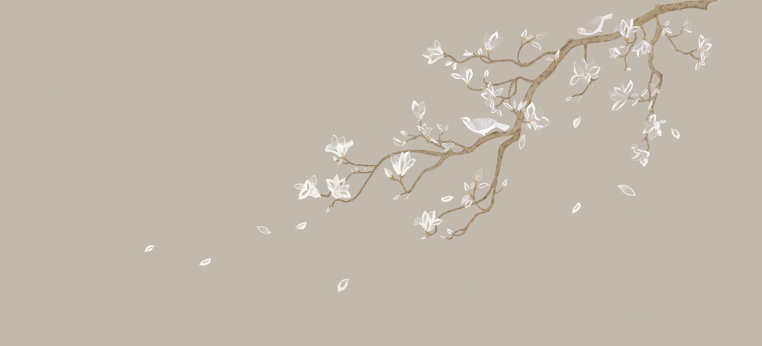 EM-MAGNOLIA-2.jpg