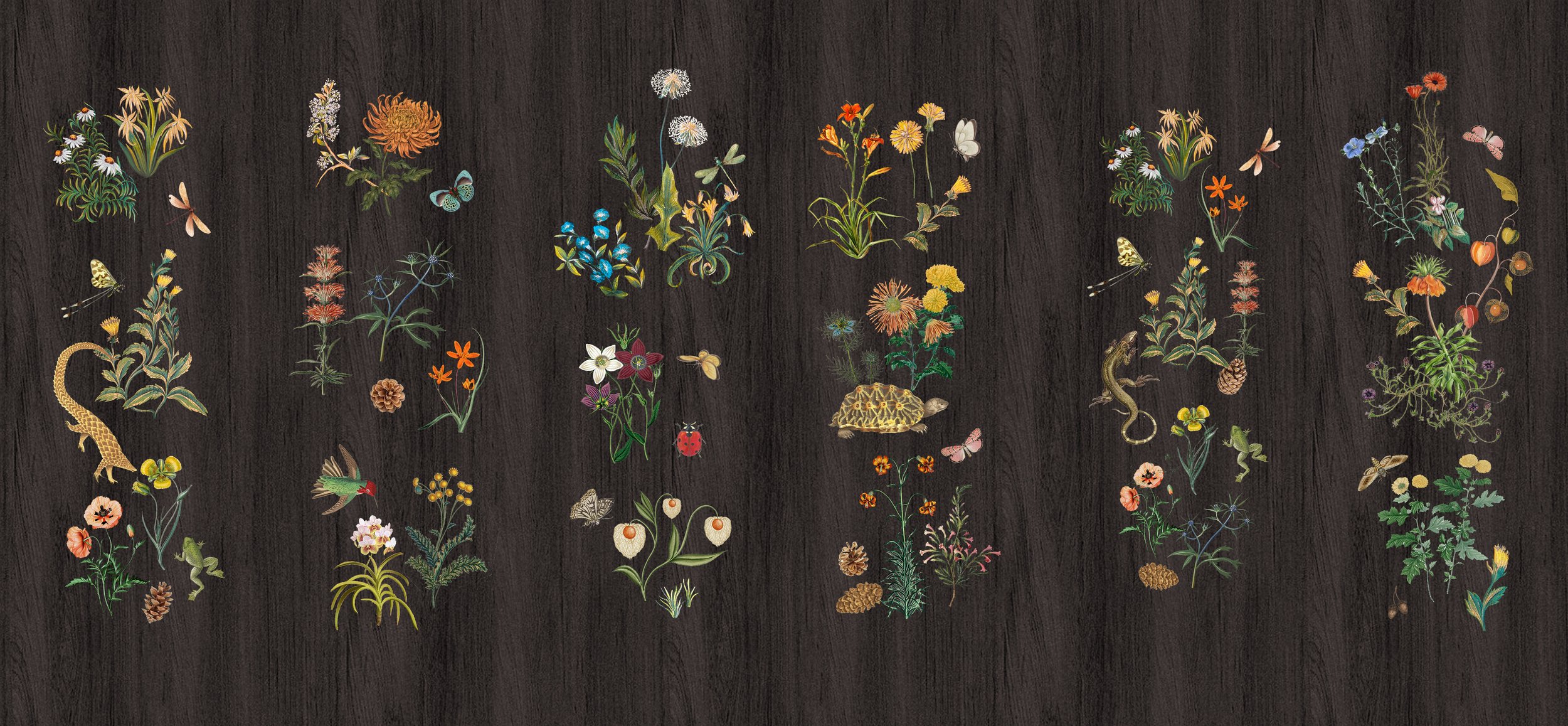 HP-CABINET OF CURIOSITIES-3.jpg