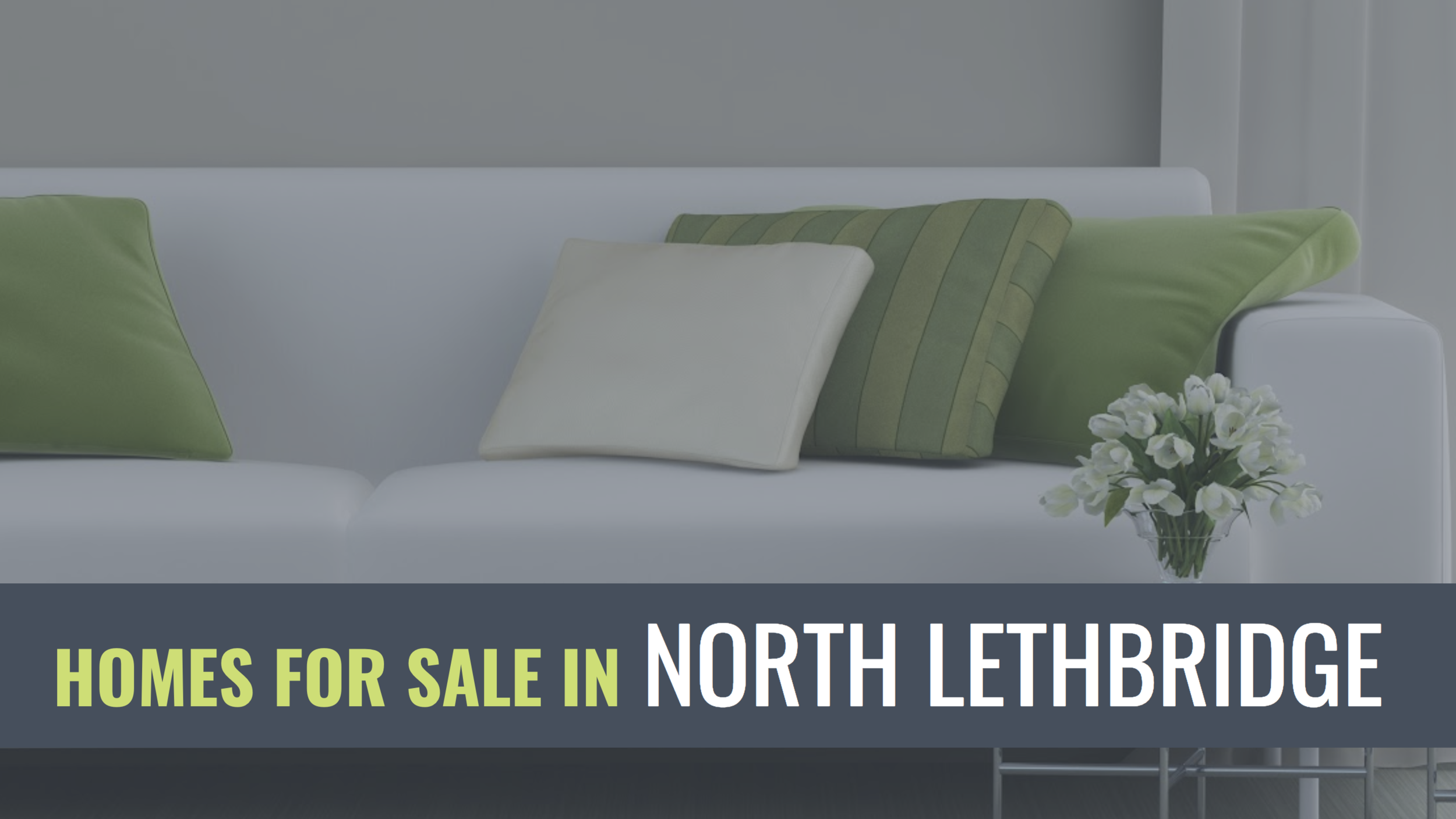 MLS Lethbridge Search Quick Tips To Enhance Your Search — Liz Toles