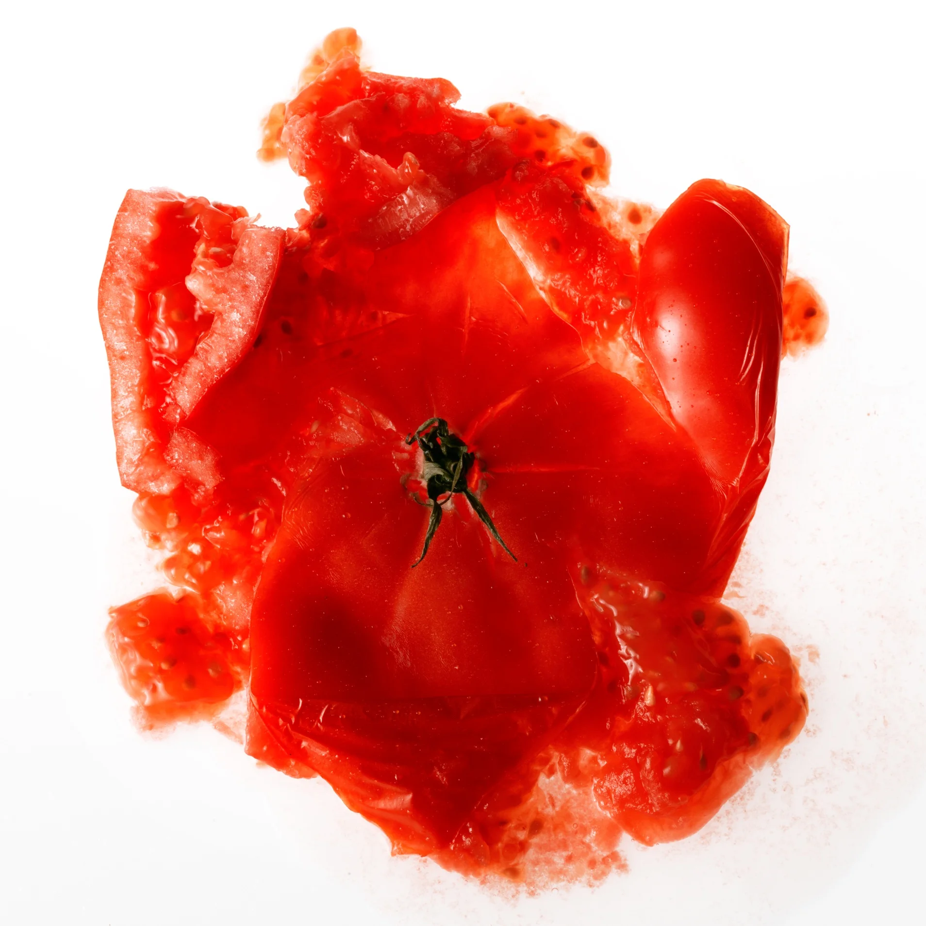 squashed+tomato.jpg