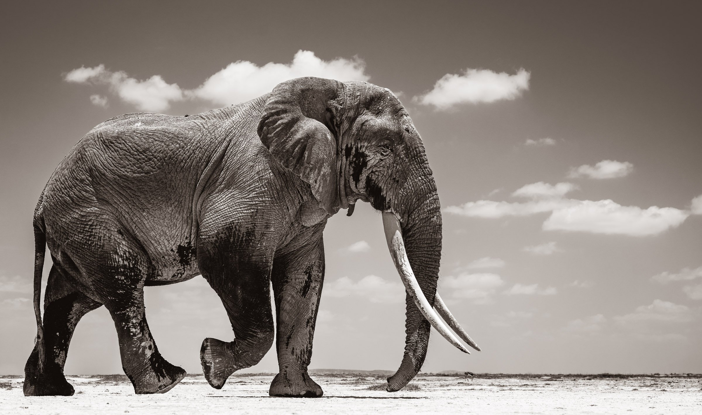 Giant's Footprints.jpg