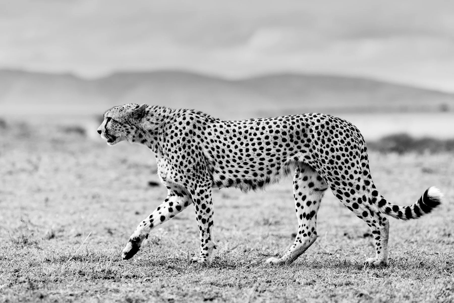 One Step at a Time.jpg