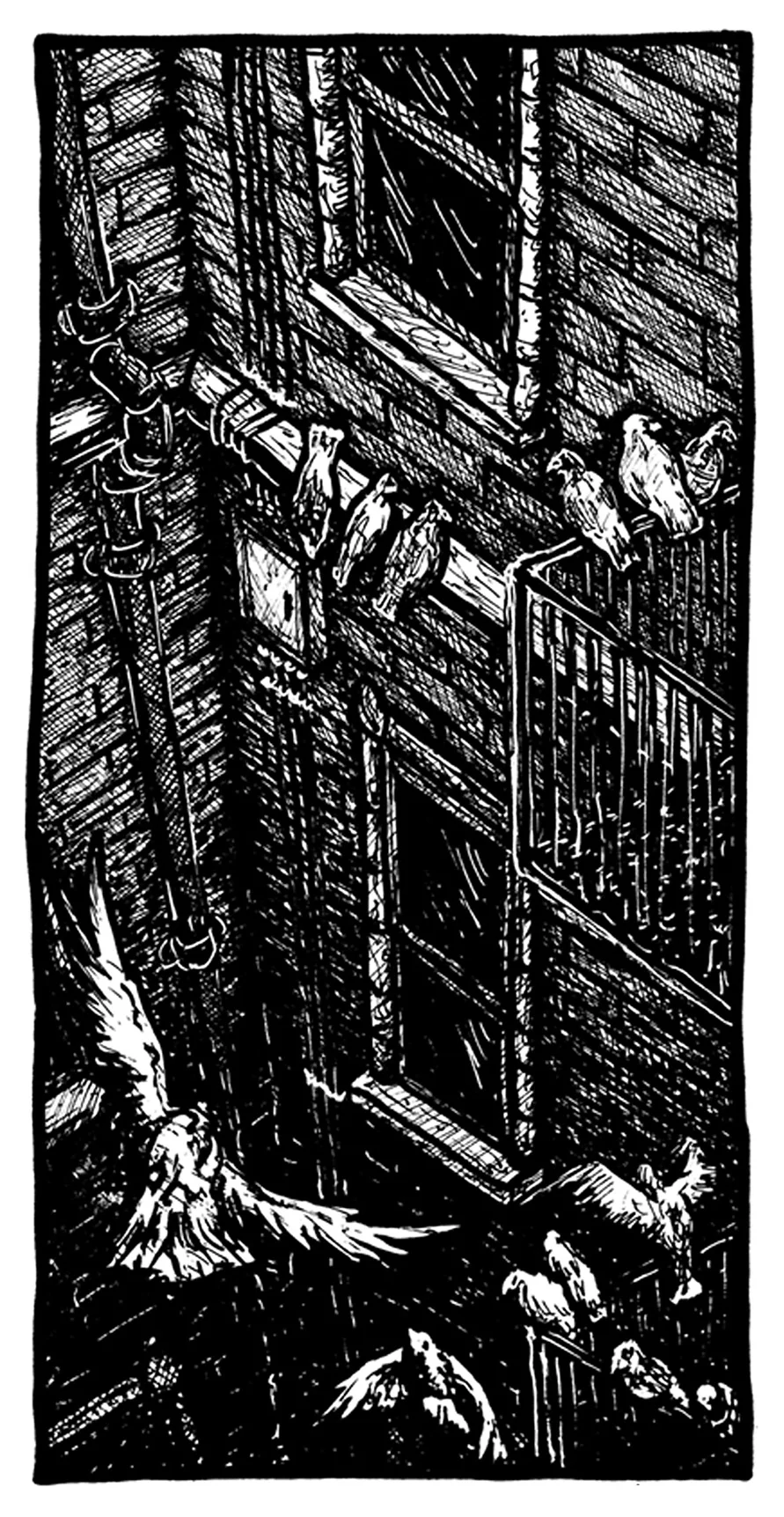 Pigeons I