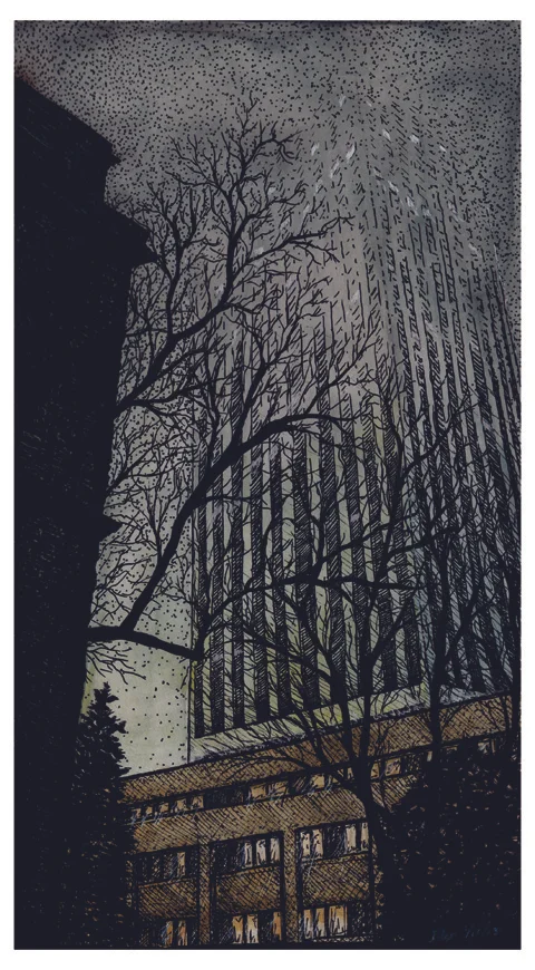 WoodmanTowerFog.jpg