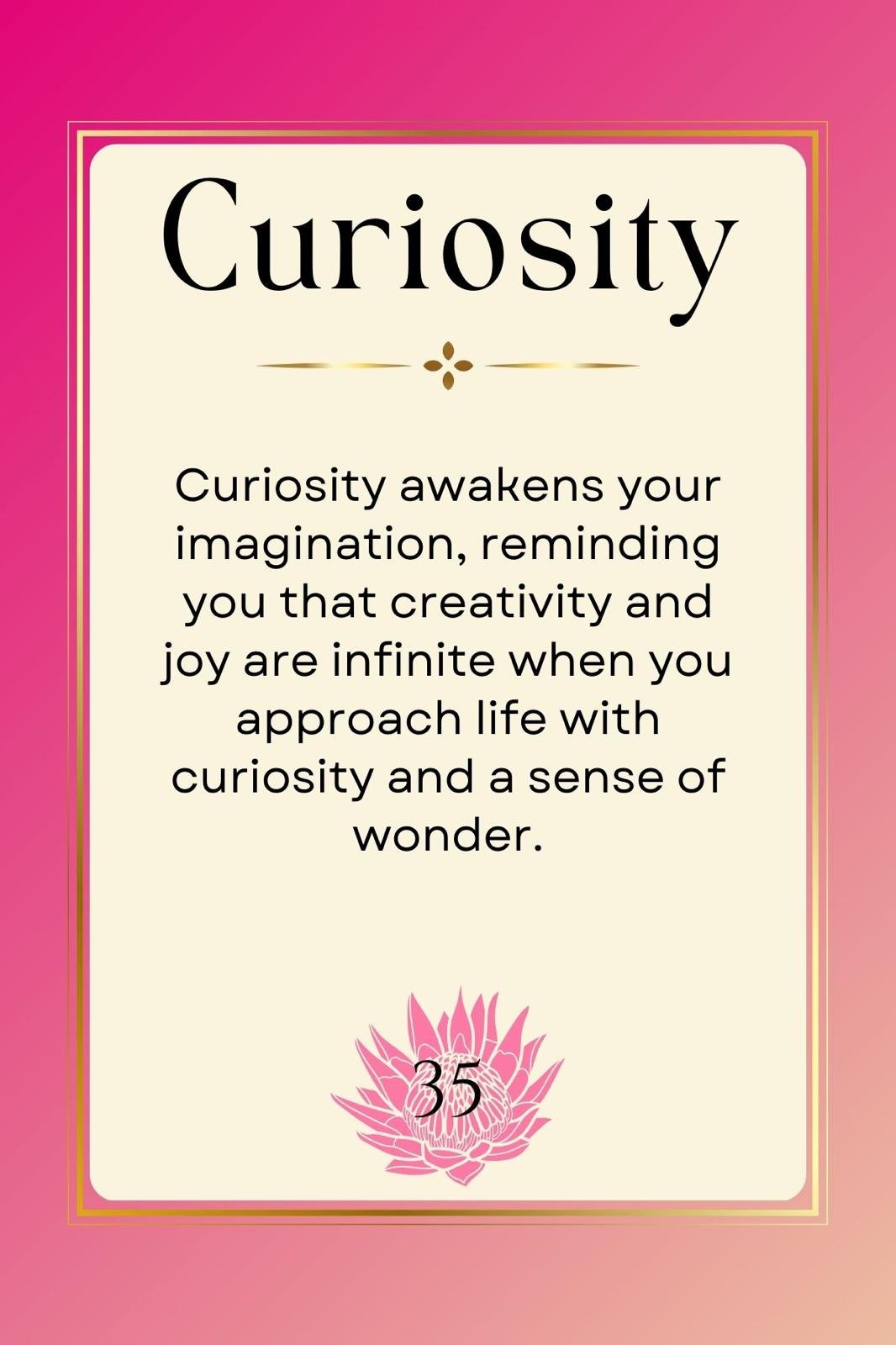 IMG-20250213-WA0069 (1).jpg