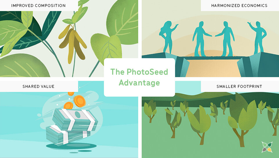 188金宝搏zeakal-plant-trait-technology-elevated-photosynthesis-soybeans-photoseed-advantage-biotech-agtech-startup.jpg