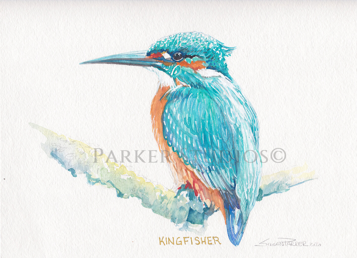 Kingfisher-PRINT