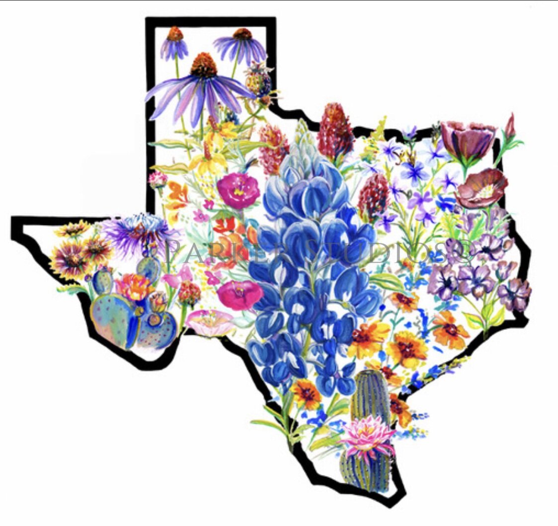 Texas Wildflowers