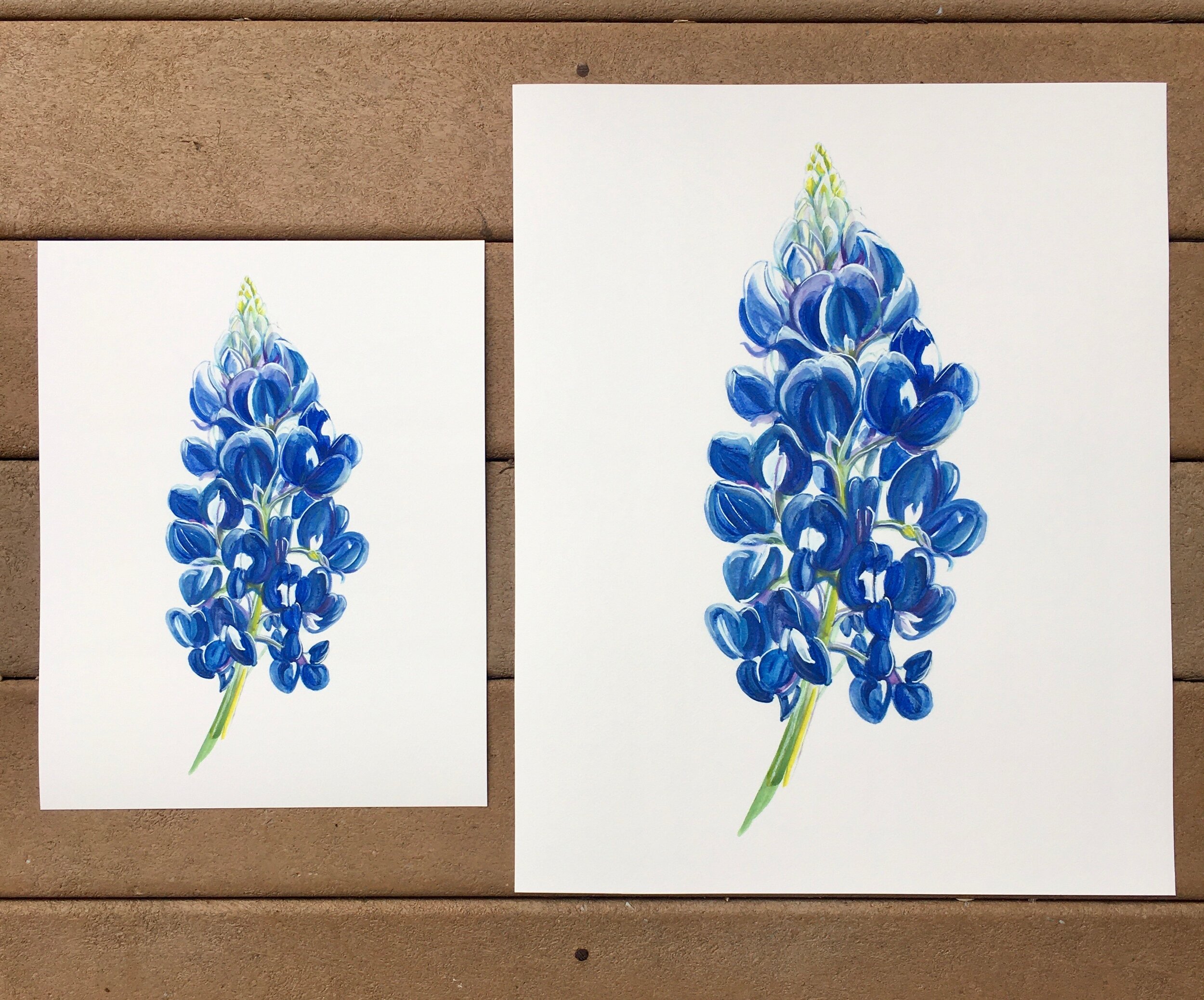 Texas Bluebonnet-PRINT