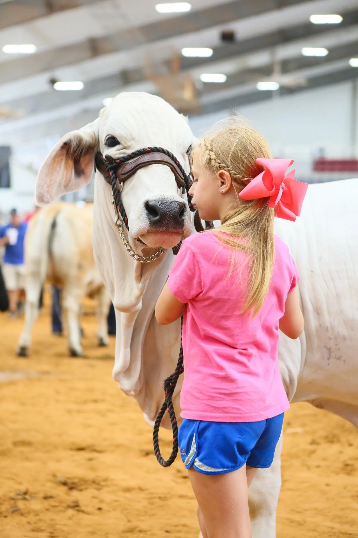 Show Photos — Next Level Images