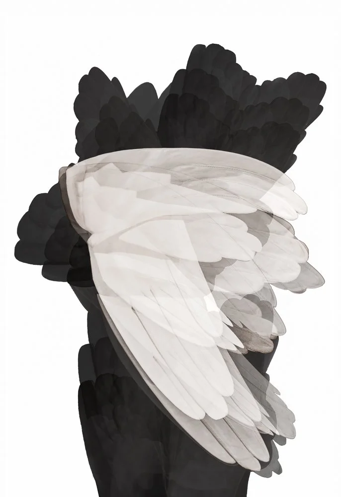 Spliced Connector: Invitational, Jamaica Center for Arts and Learning