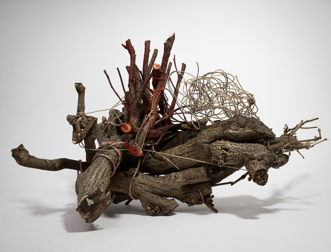 Spliced Connector: Winter 2023 Exhibition - Into Wildness