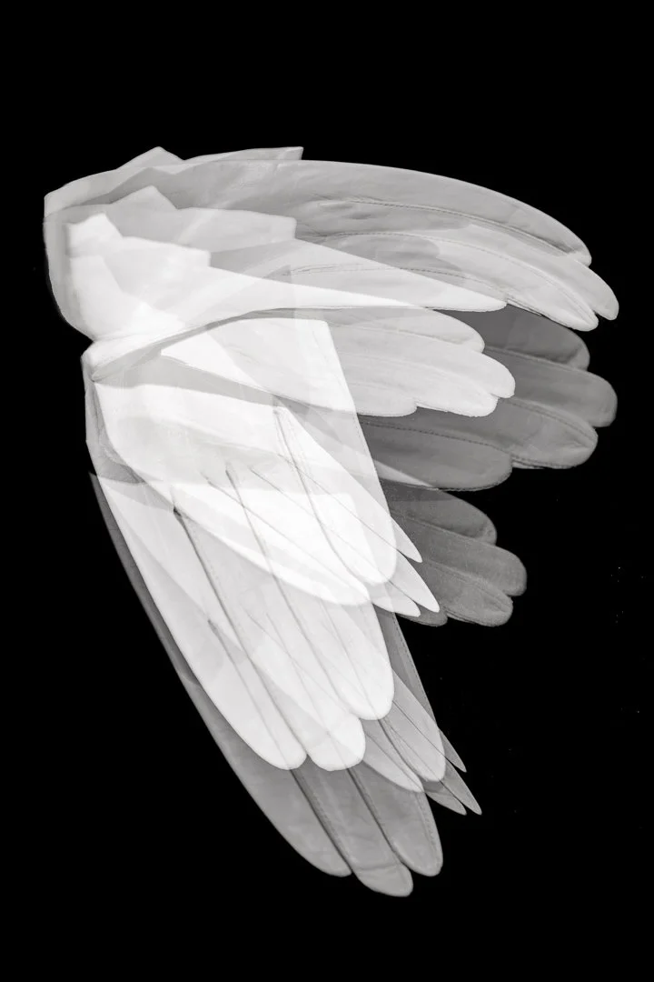 Wing I.jpg