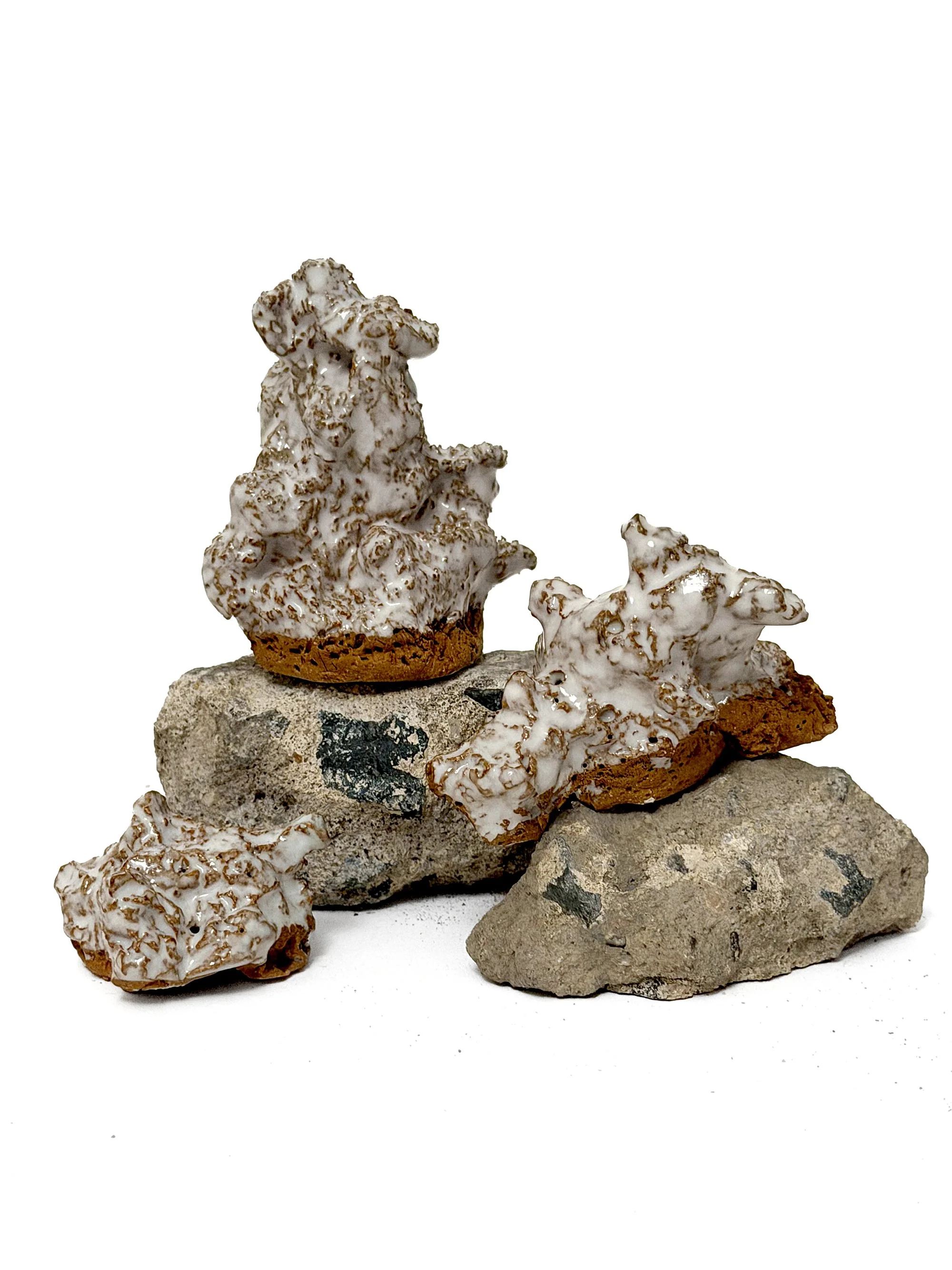 ceramic-rock-forms.JPG