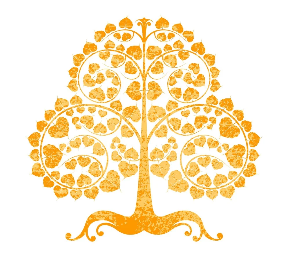 bodhi-tree-on-a-white-background-vector-6118056.jpg