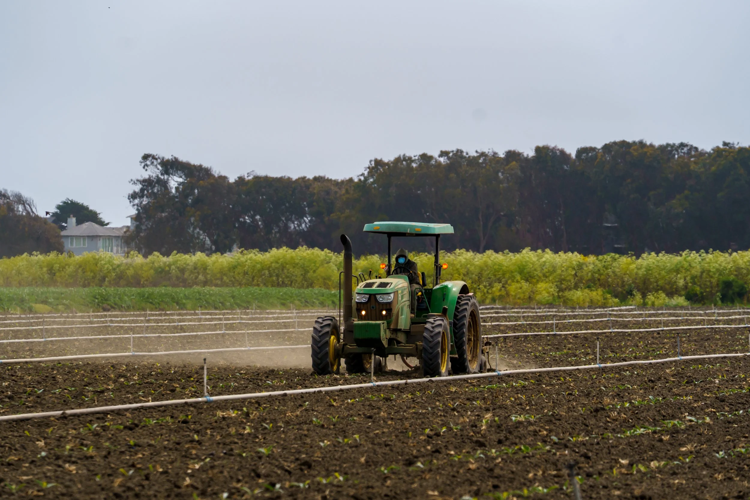 Lakeside Organic Gardens