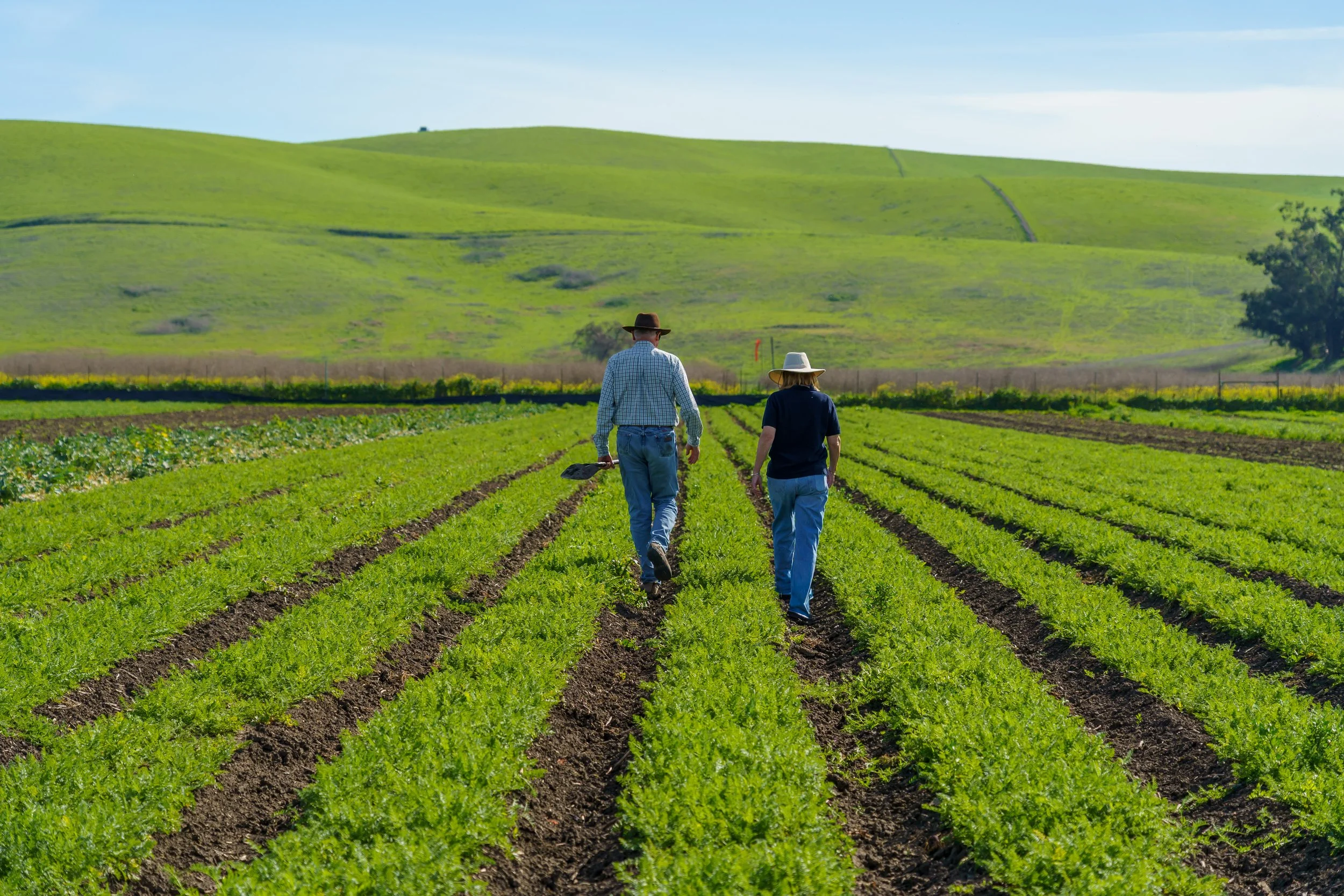 Phil and Katherine Foster - Pinnacle Organically Grown Produce