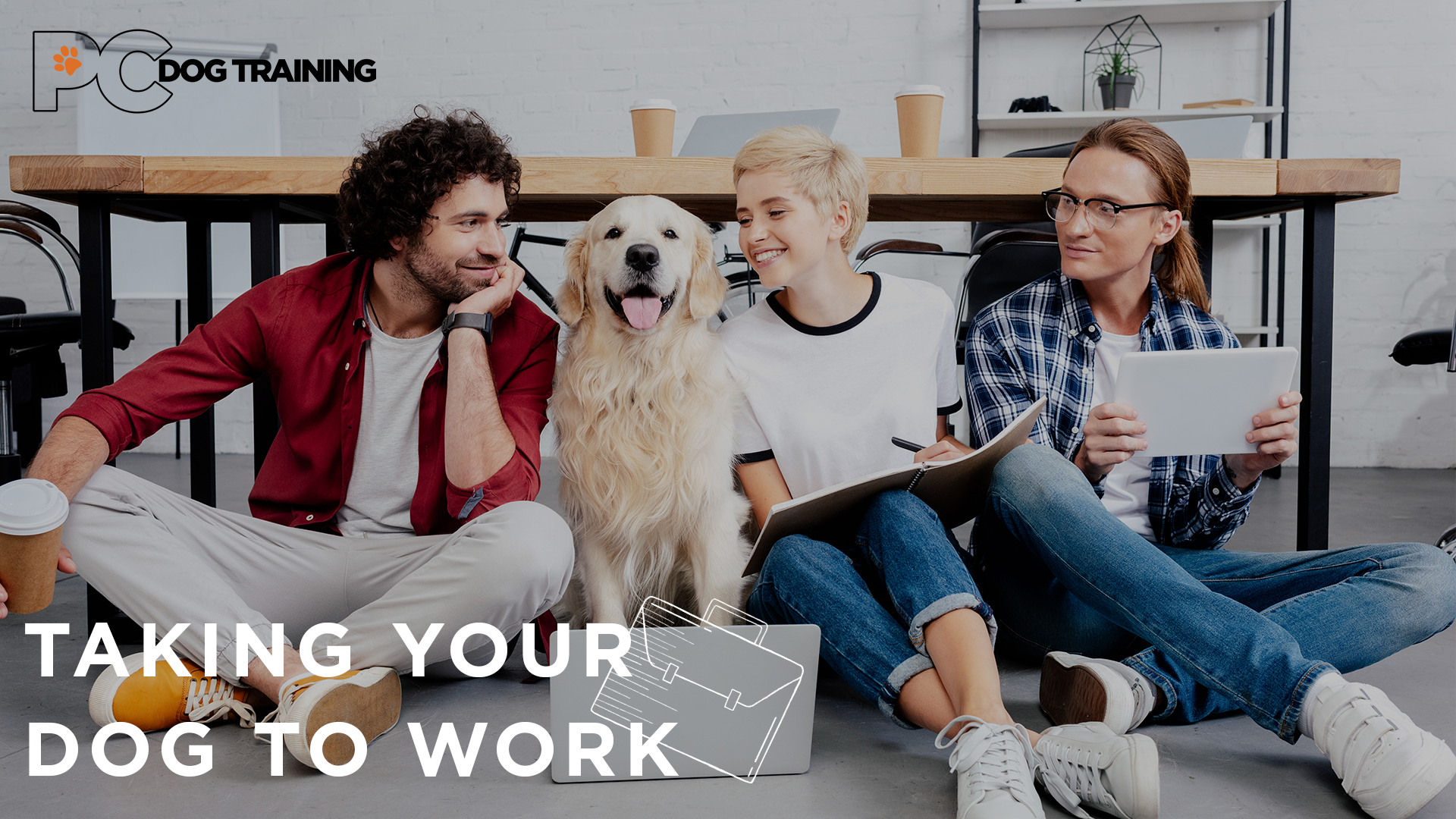 Taking Your Dog to Work