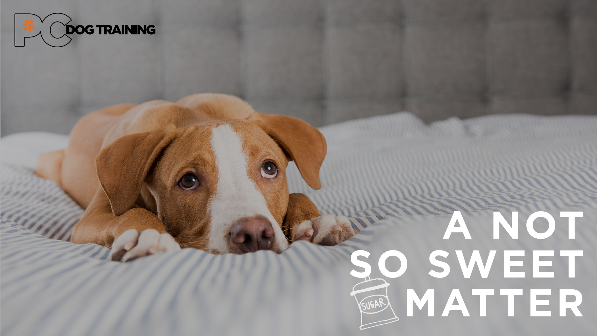 A Not So Sweet Matter