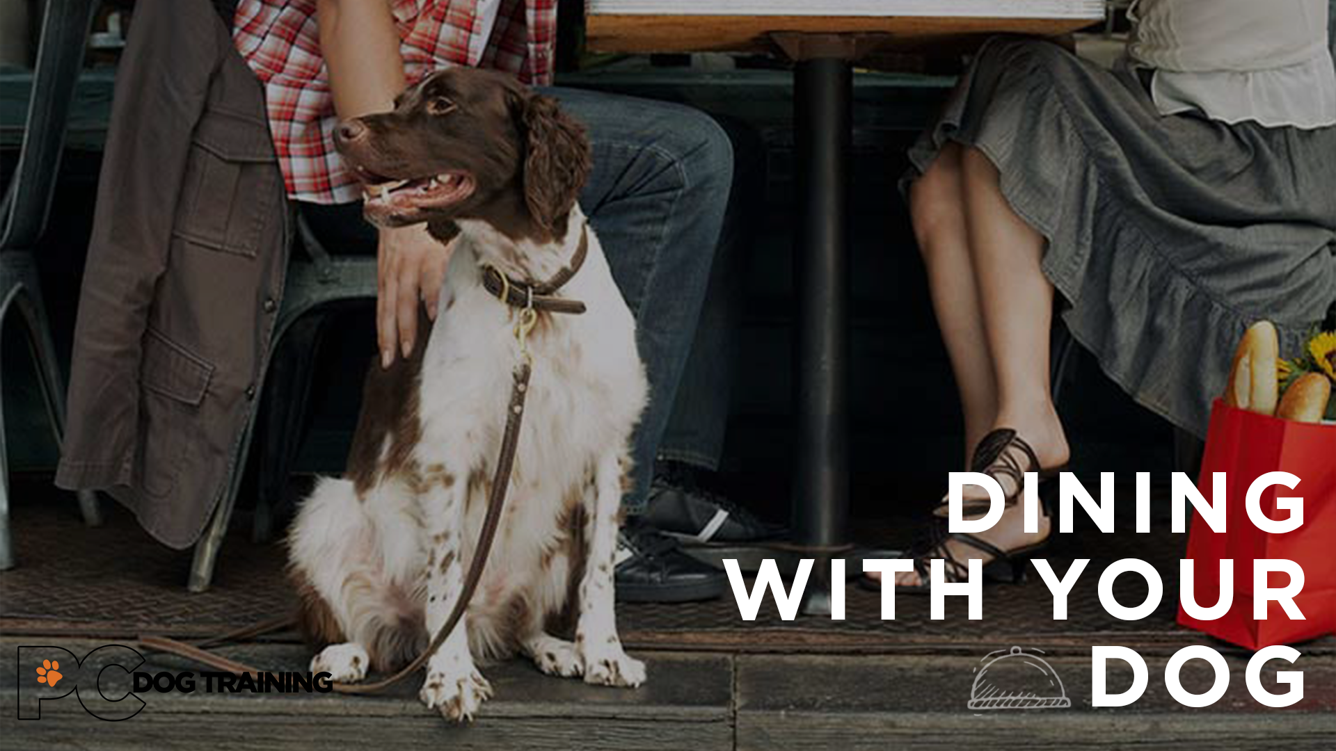 Dining With Your Dog
