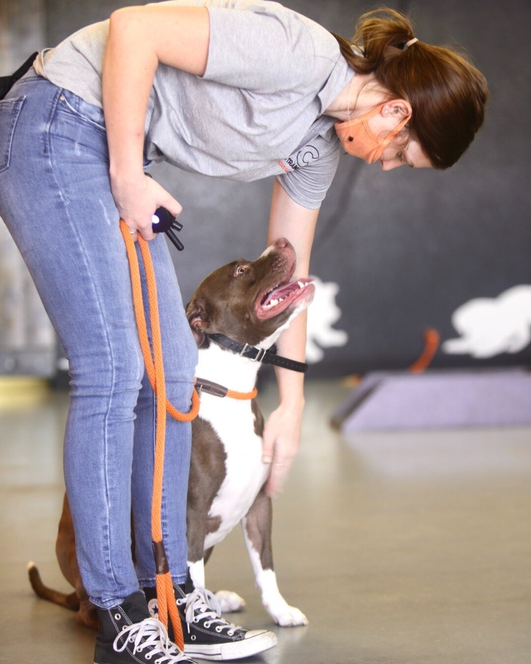 Did you know rescue dogs can benefit from obedience training? Once they&rsquo;ve gained comfortability and trust in you, give them the gift of structure and confidence through training! Whether it&rsquo;s basic commands, behavior modification, or soc