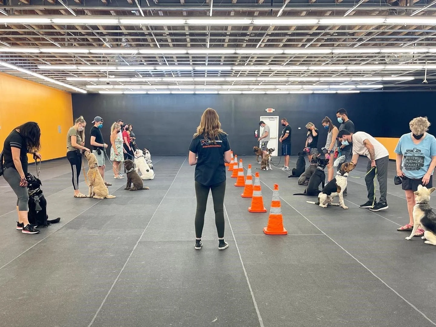 WHY and HOW You Need to Socialize Your New Dog!